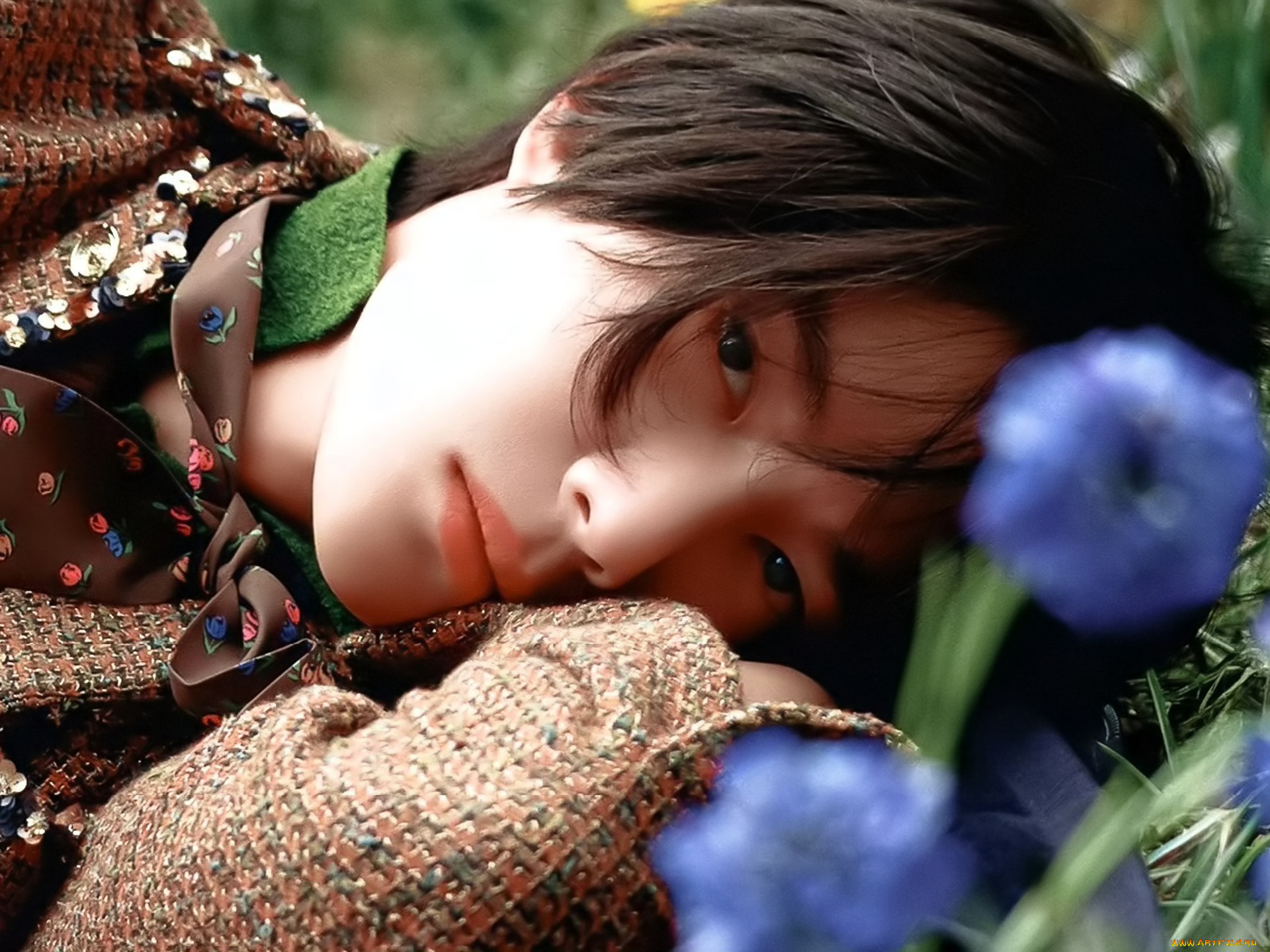 мужчины, wang, yi, bo, актер, лицо, наряд, трава, цветы