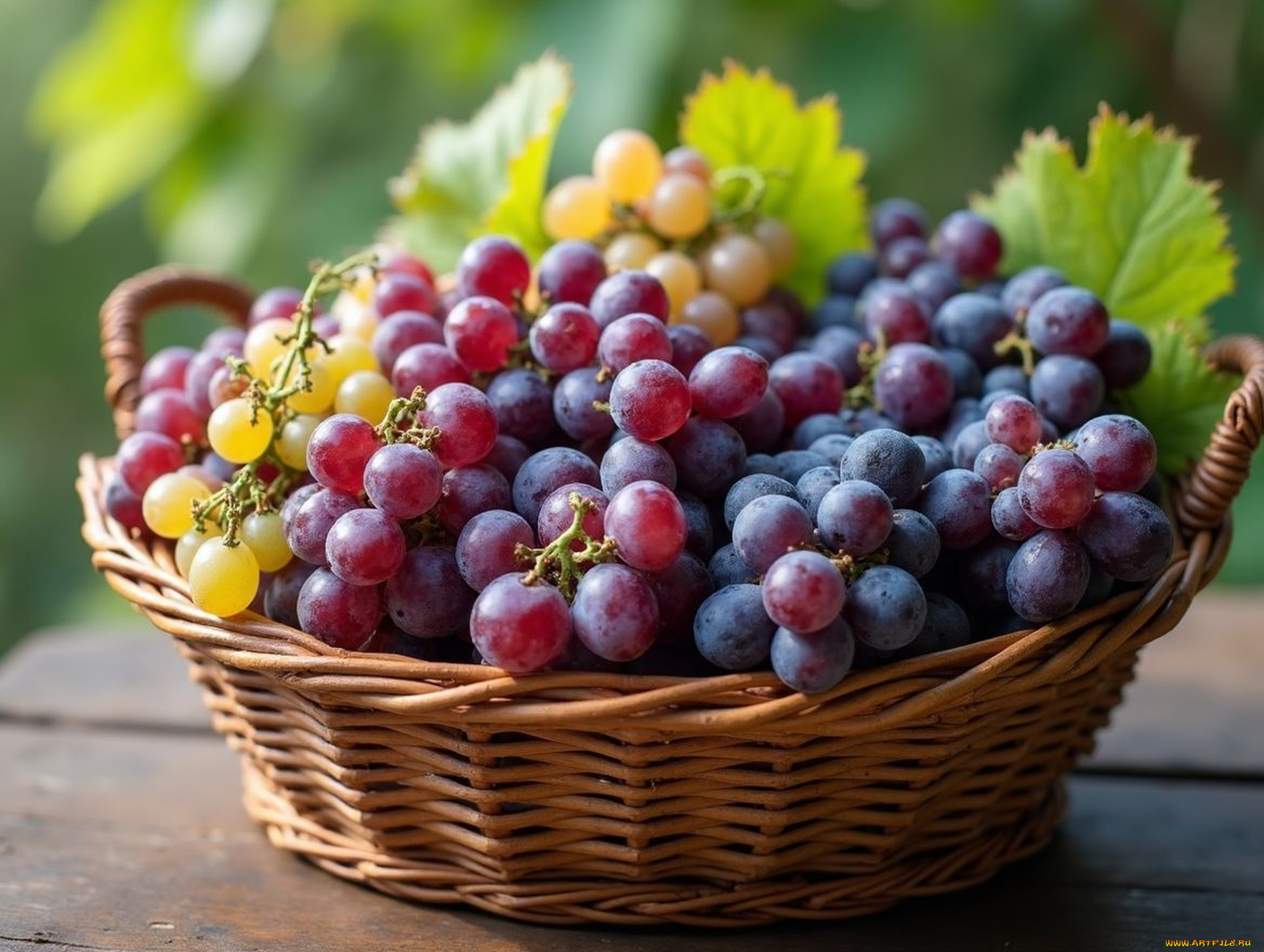 еда, виноград, корзинка, урожай
