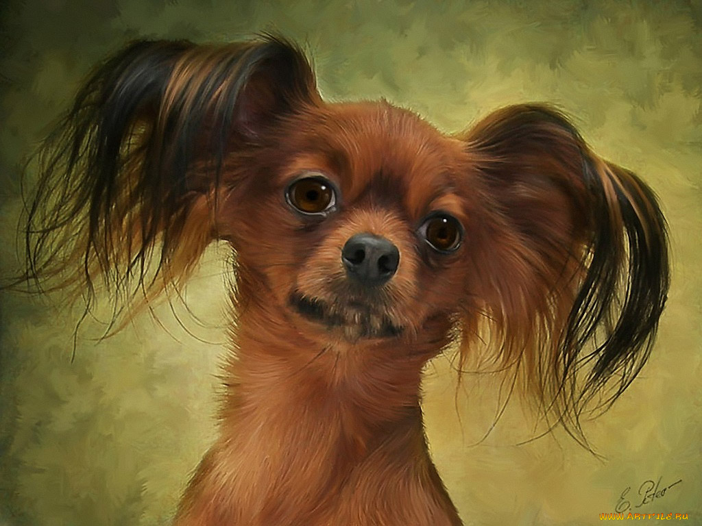 eduard, peter, рисованные