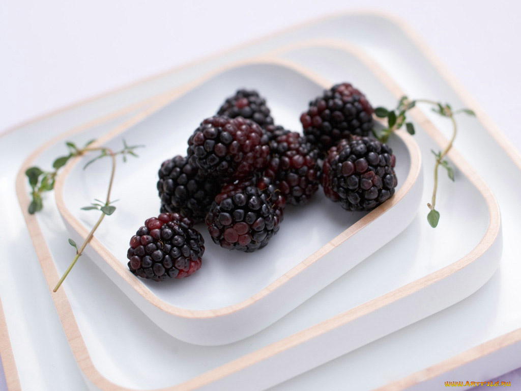 еда, ежевика