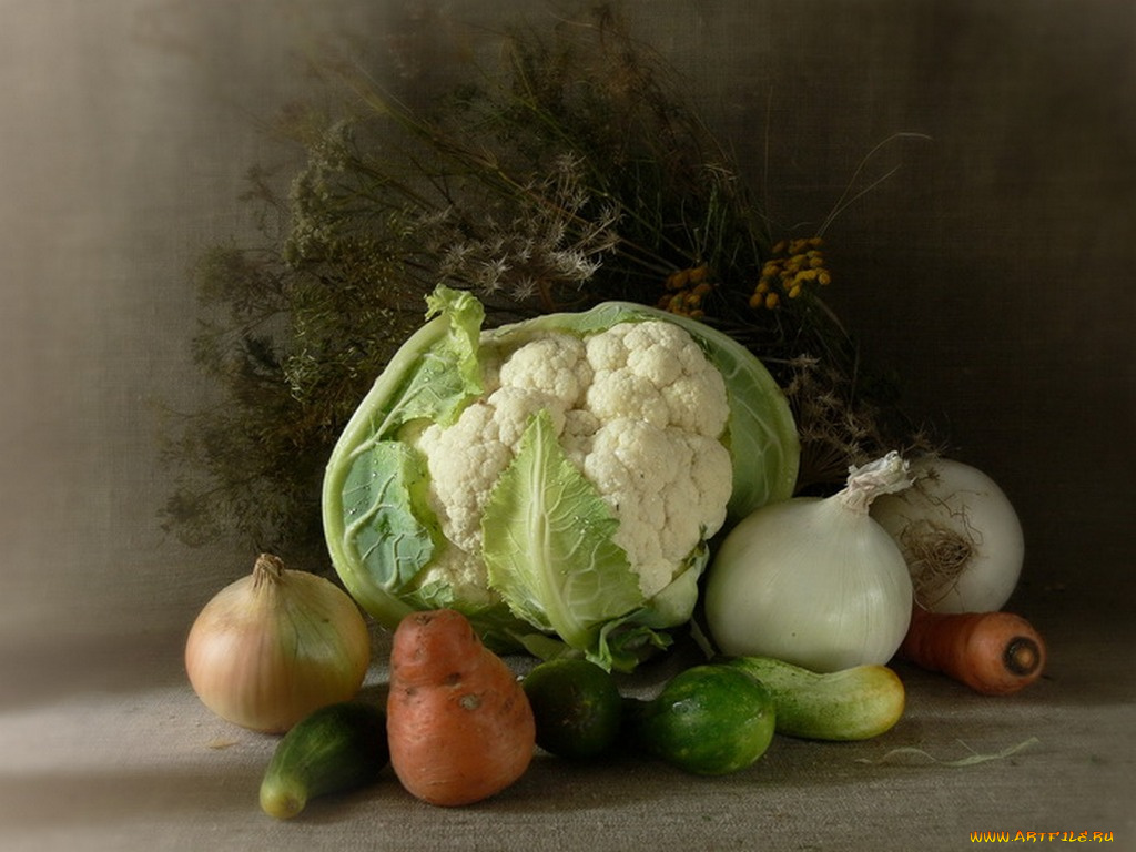 lavik, на, исходе, лета, холодное, утро, еда, натюрморт