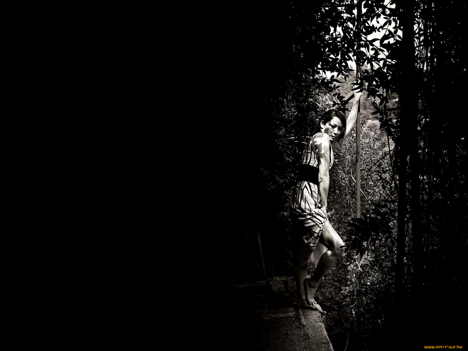 Lucy, Liu, люси, лью, девушки