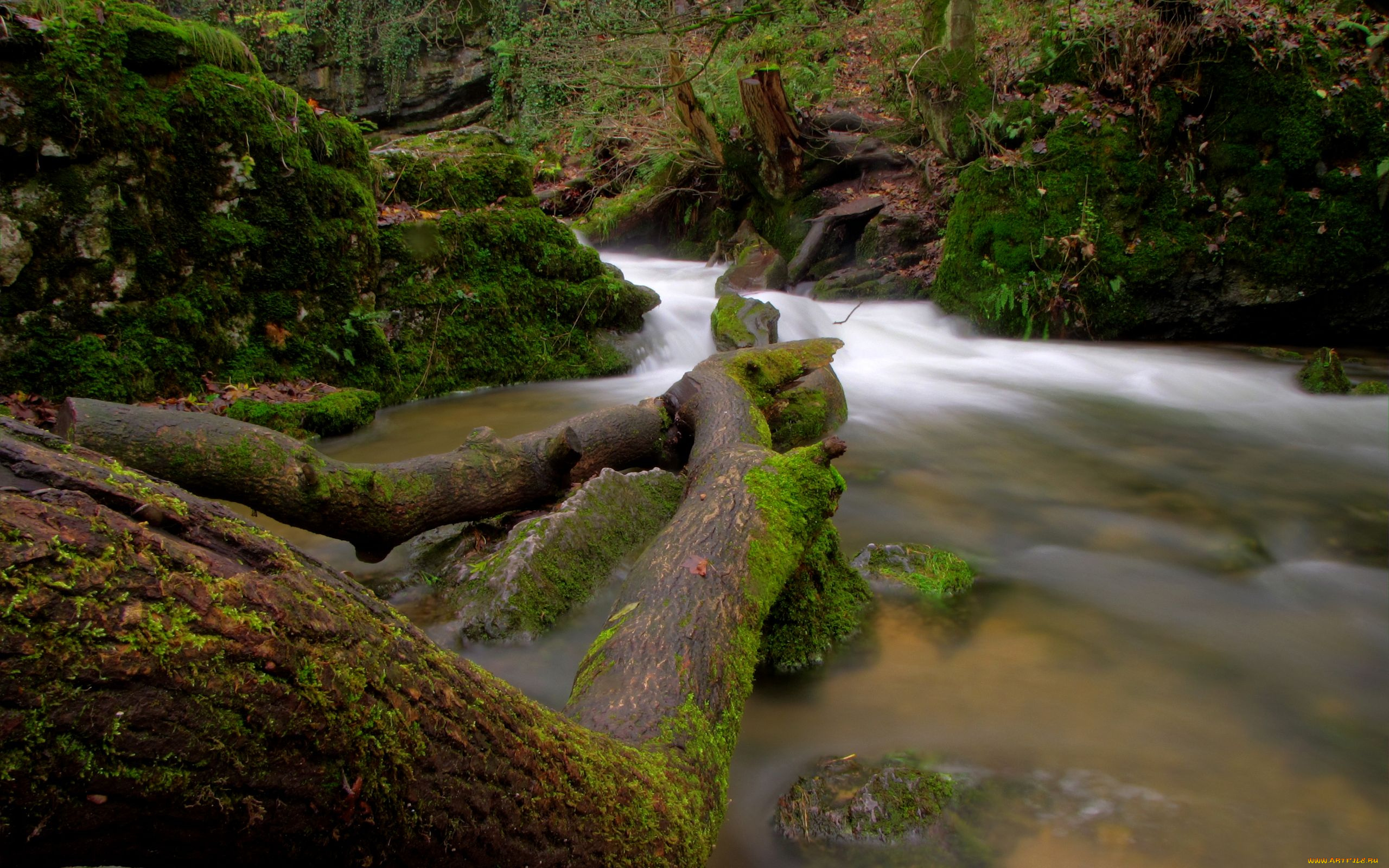 природа, реки, озера