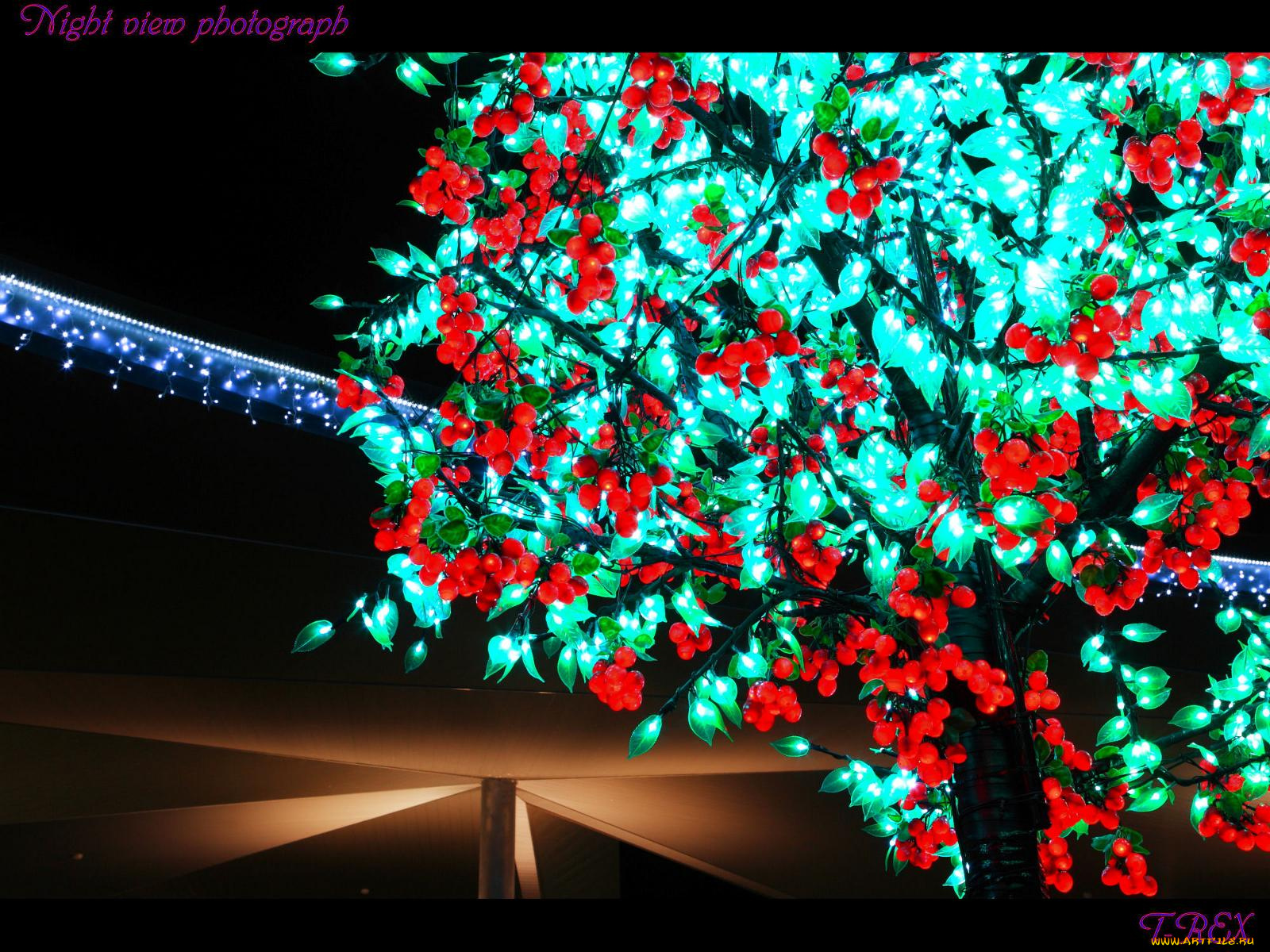 праздничные, новогодние, пейзажи