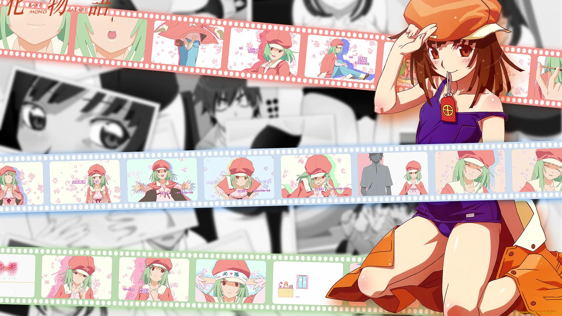 аниме, bakemonogatari, sengoku, nadeko, шляпа, пиджак, девушка, купальник