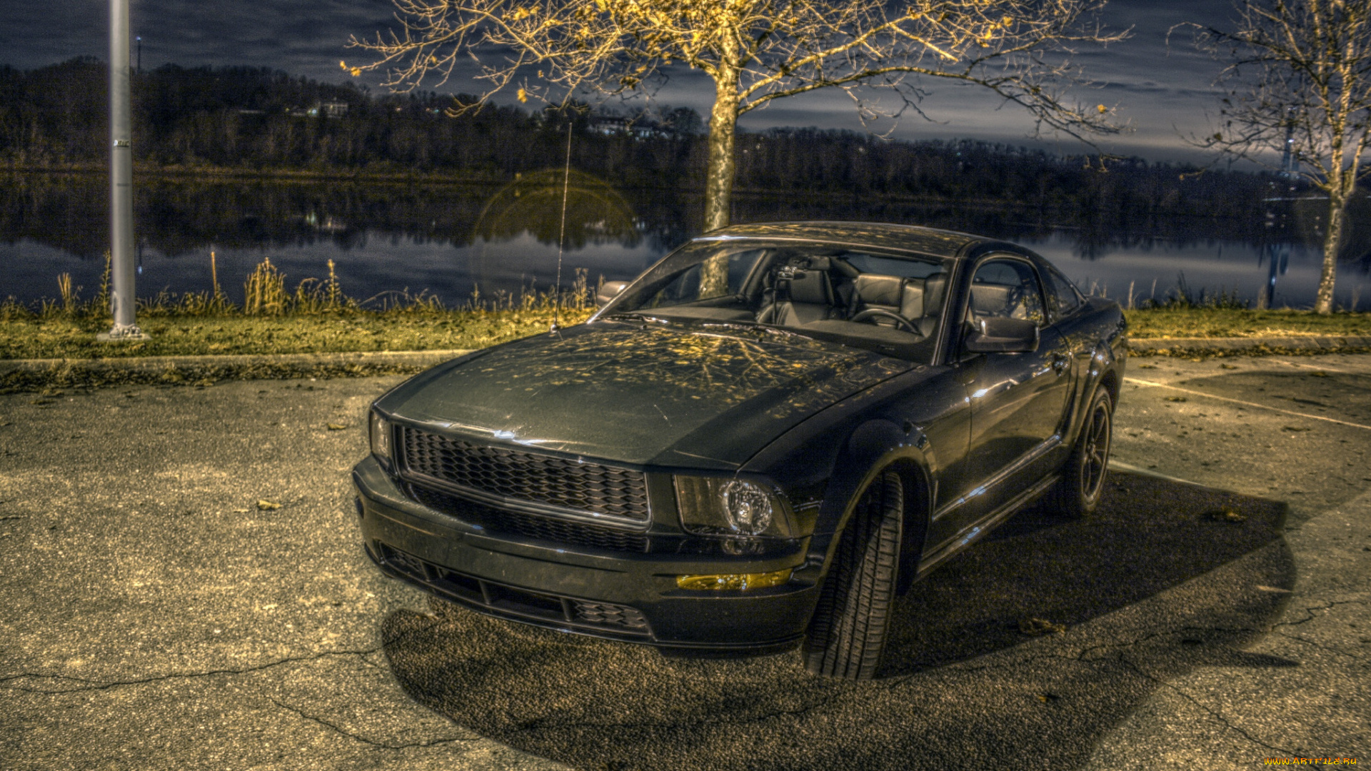 автомобили, mustang