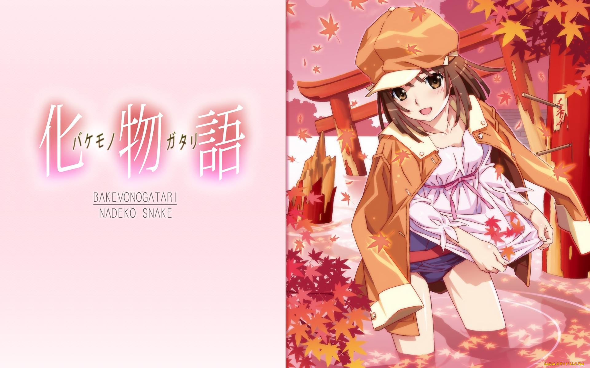 аниме, bakemonogatari, sengoku, nadeko, шляпа, пиджак, девушка, листья, храм, небо, облака