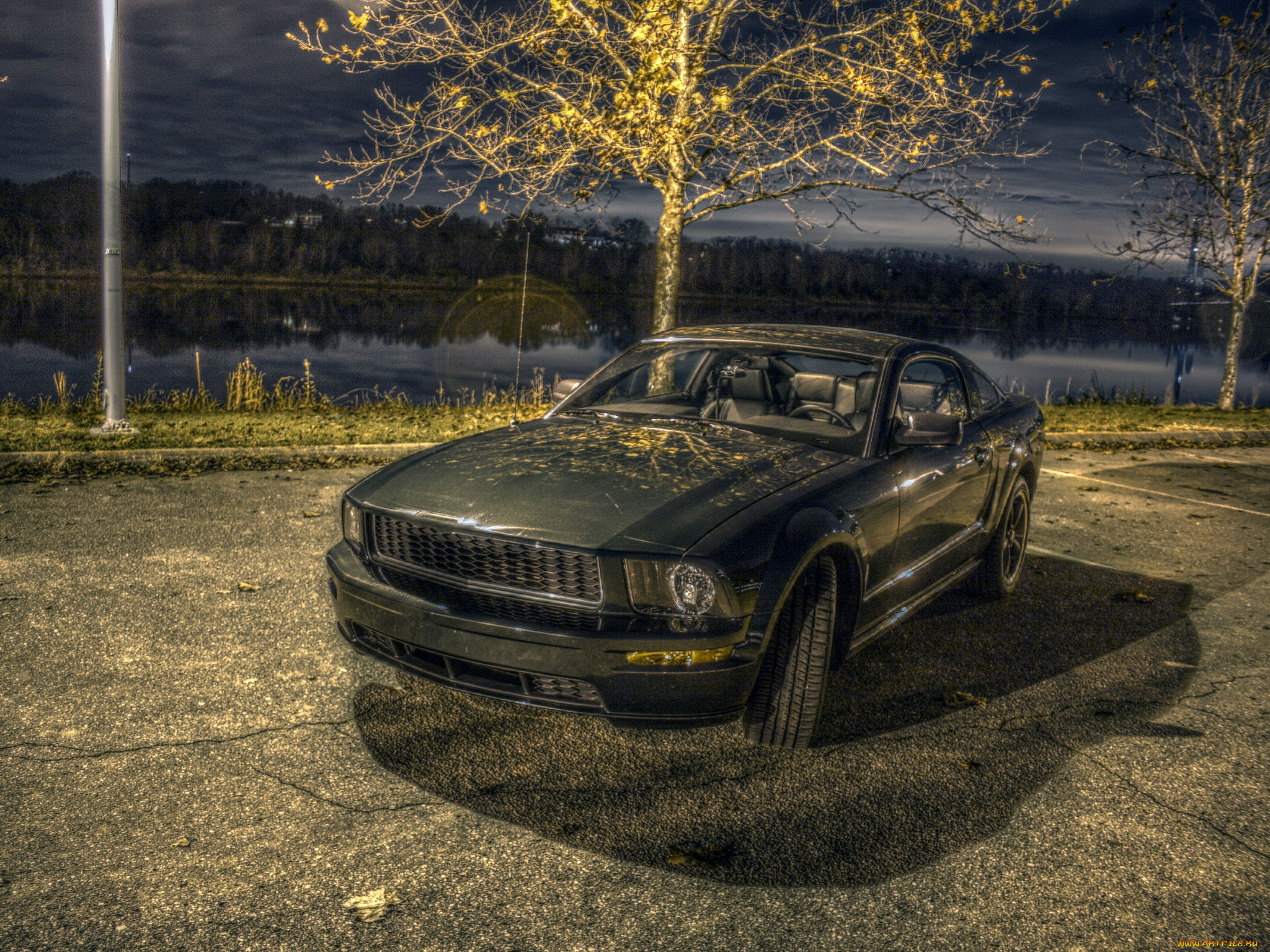 автомобили, mustang