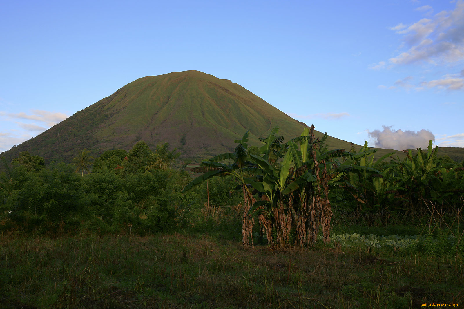 природа, горы, зелень