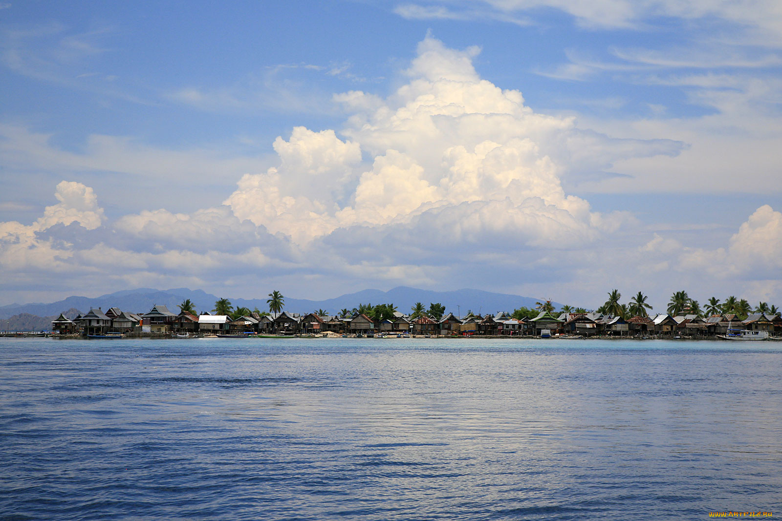 природа, тропики, море, пальмы, остров, деревушка