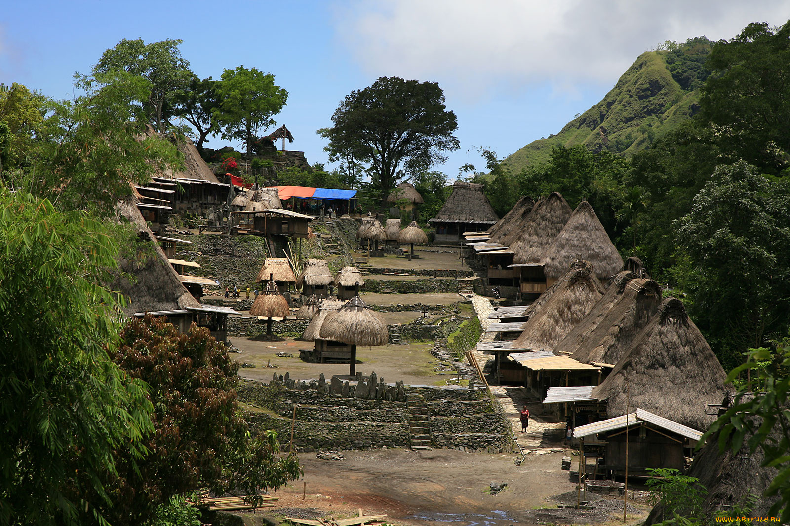 разное, сооружения, постройки, хижины, деревья