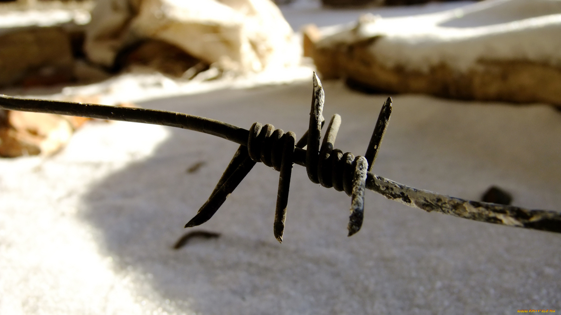 разное, другое, проволока