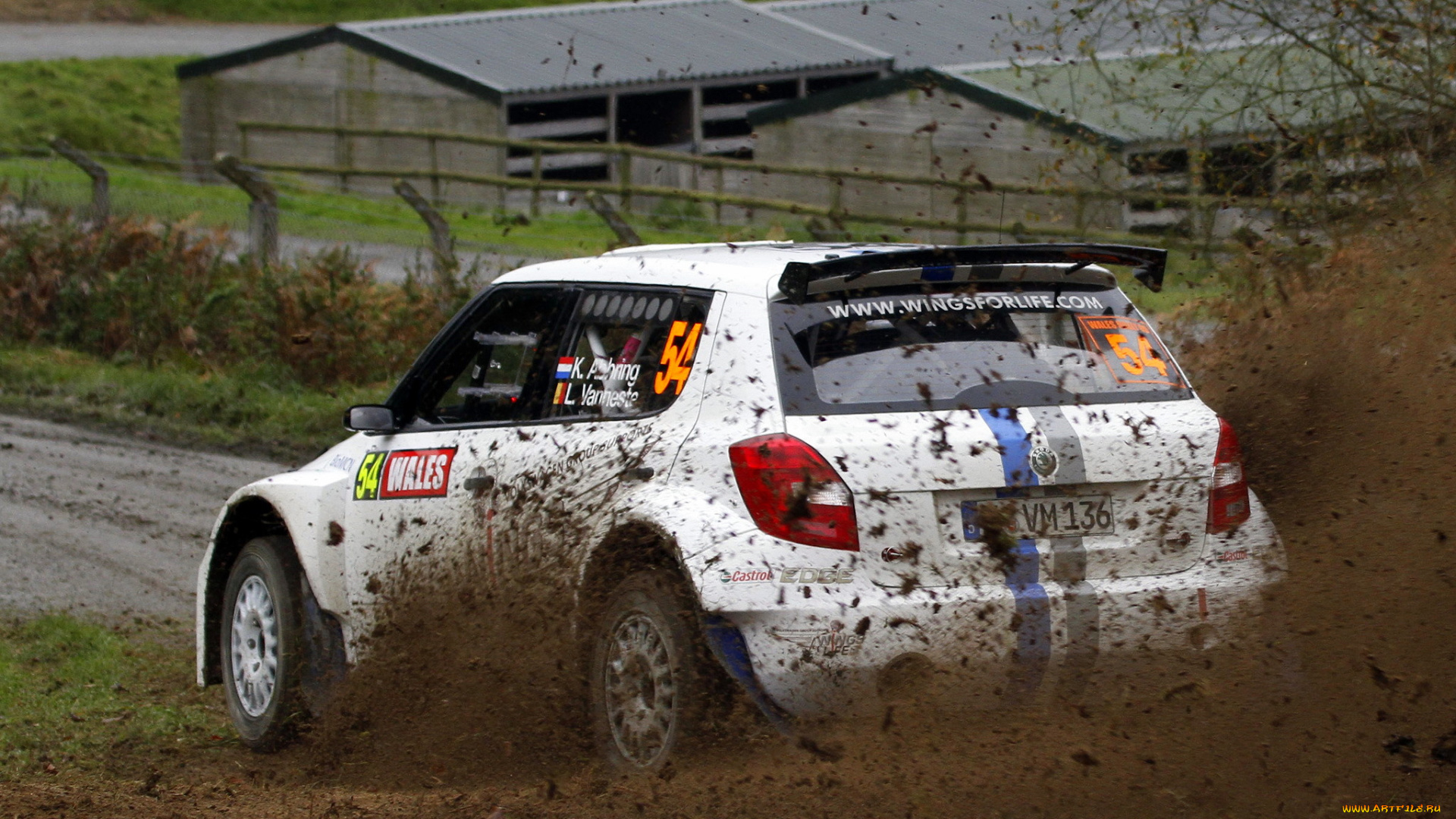 спорт, авторалли, ралли, skoda