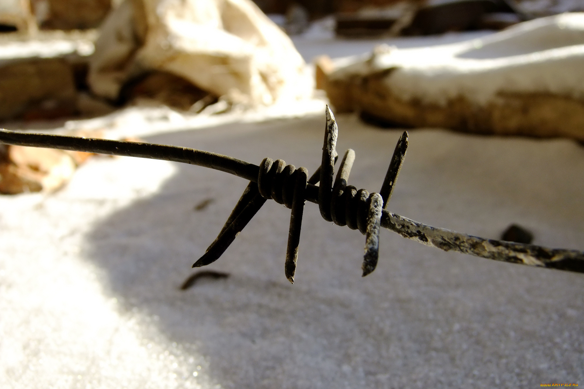 разное, другое, проволока