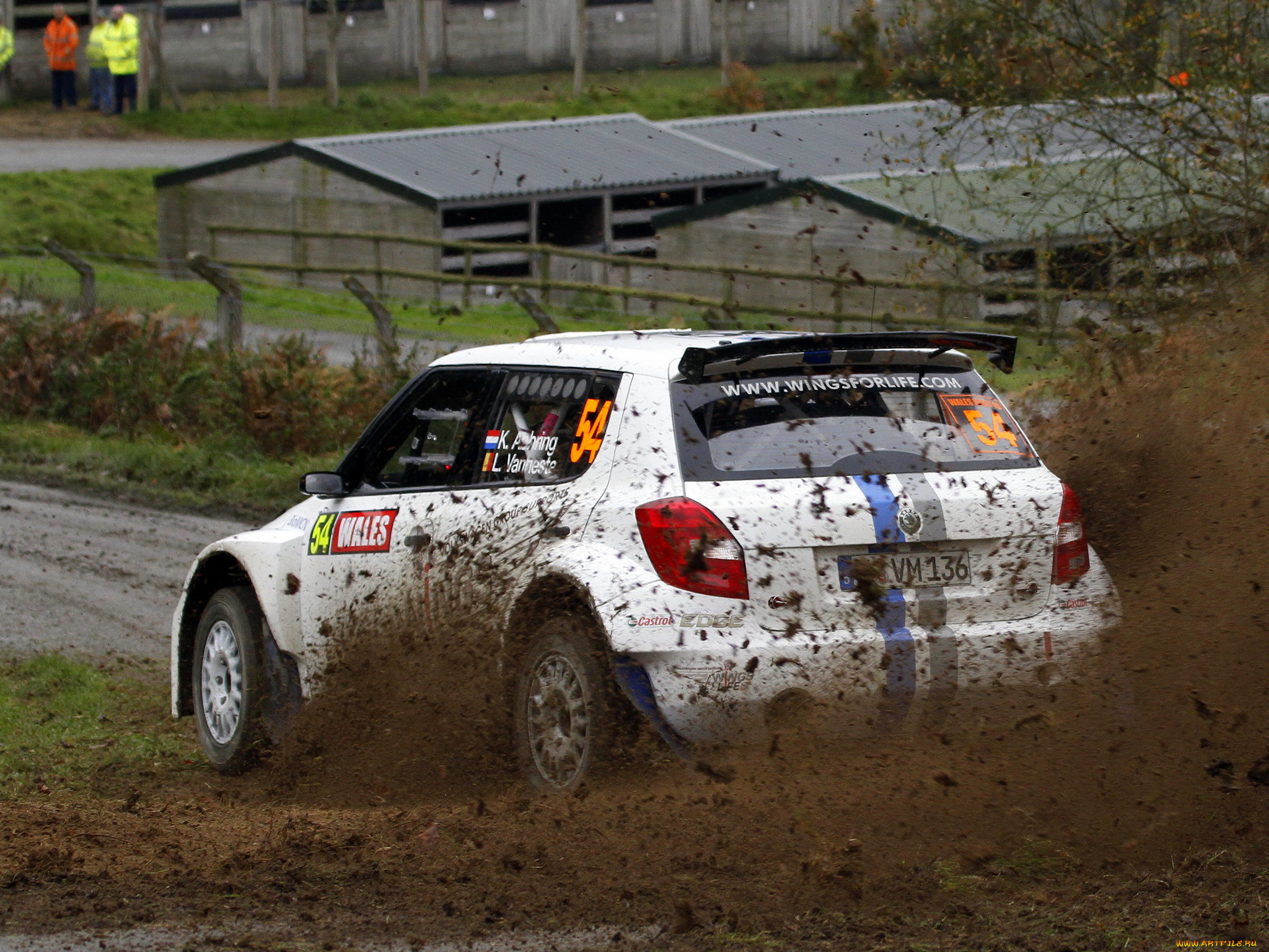 спорт, авторалли, ралли, skoda