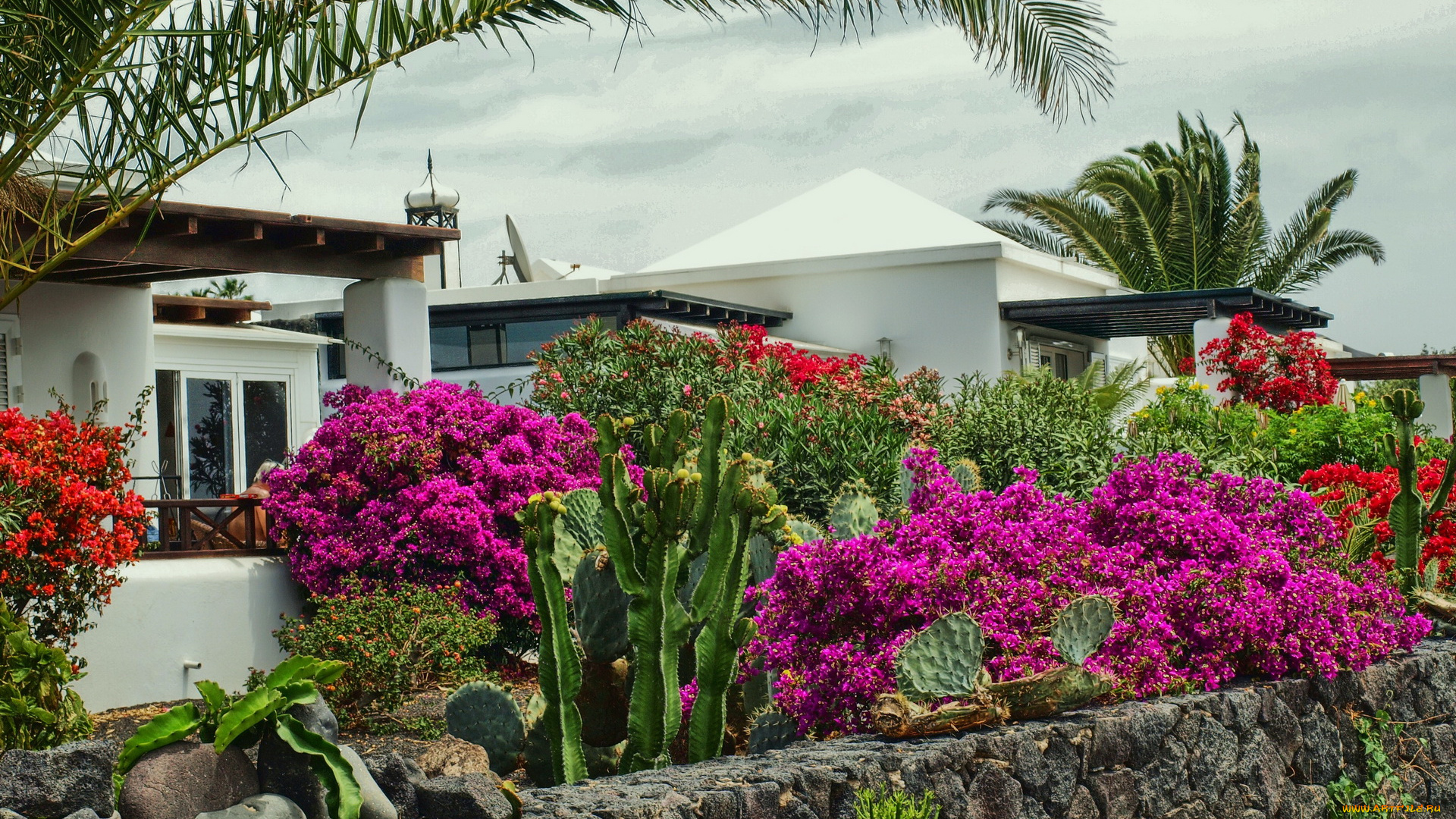 испания, канарские, ва, Яйса, цветы, разные, вместе, дома, пейзаж