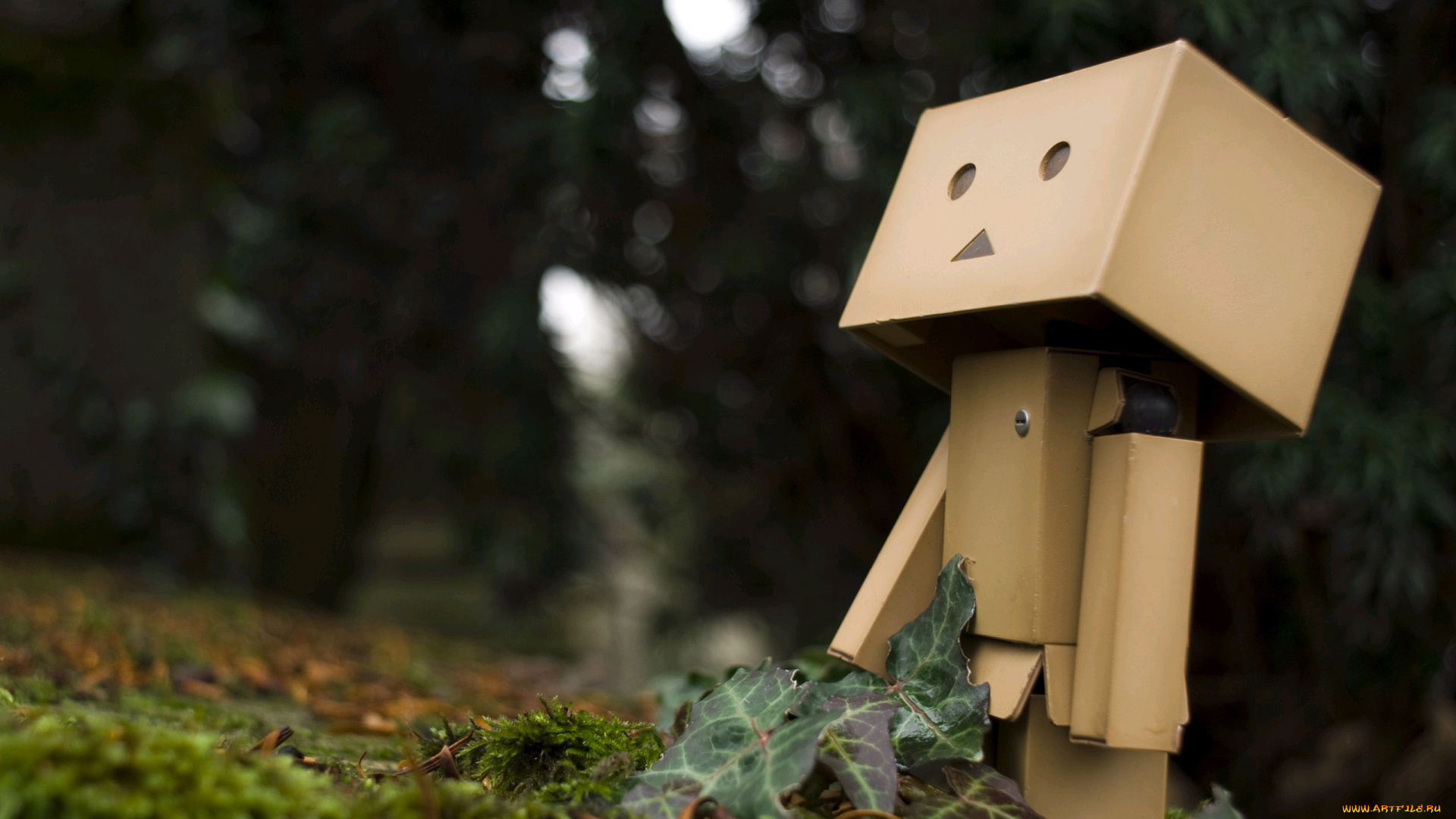 разное, данбо, danboard, коробочка