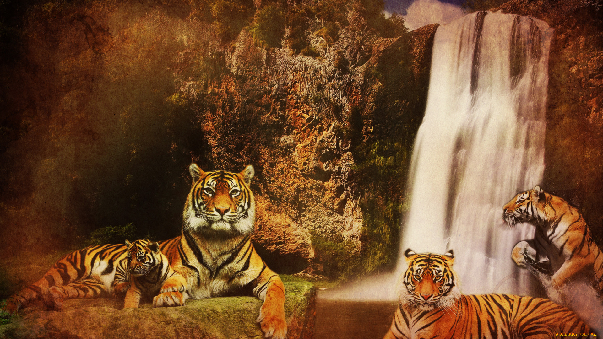 разное, компьютерный, дизайн, водопад, горы, фон, кошки, скалы, вода, тигры