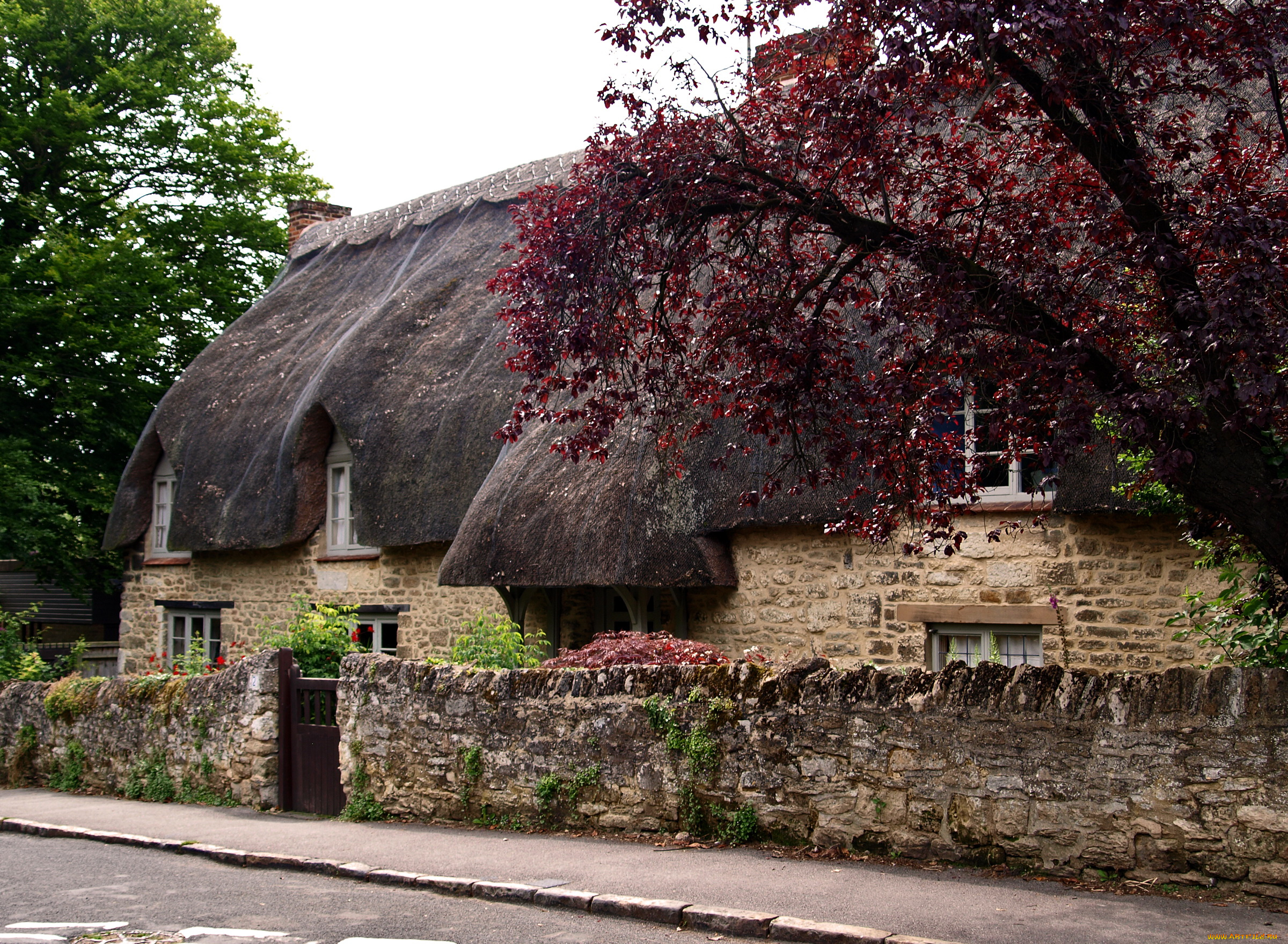 англия, оксфорд, города, здания, дома, улица, деревья