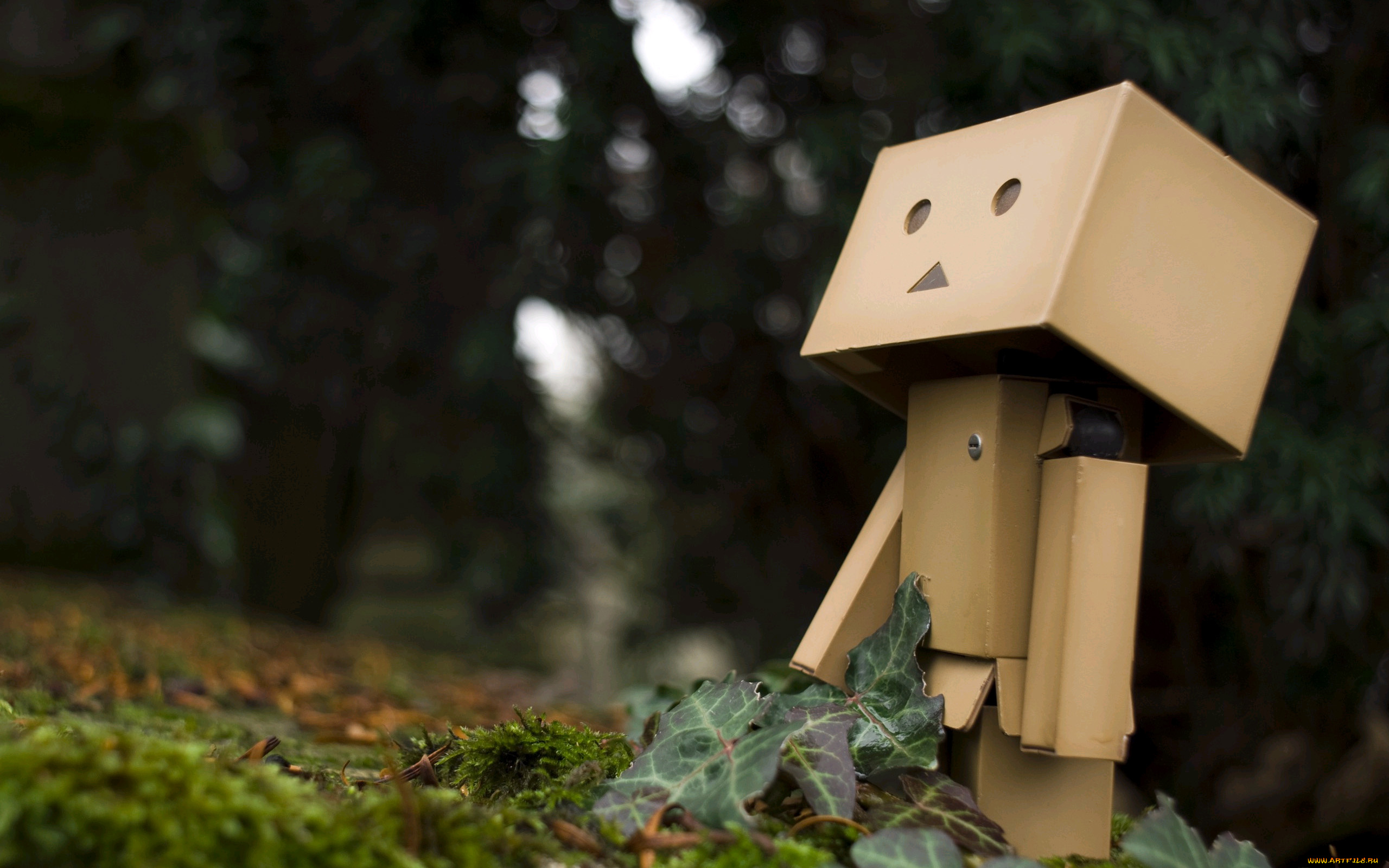 разное, данбо, danboard, коробочка