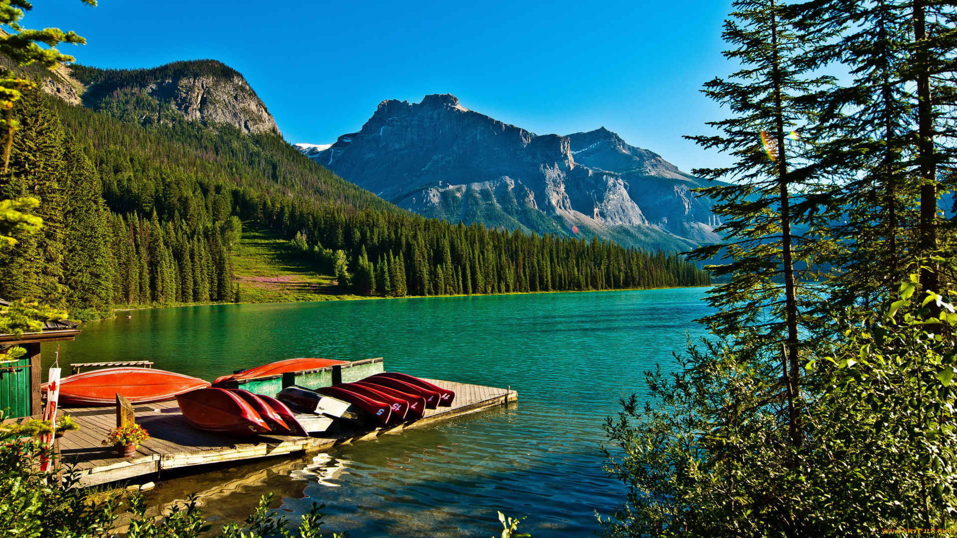 emerald, lake, yoho, national, park, , canada, природа, реки, озера, yoho, парк, canada, park, горы, emerald, lake, озеро