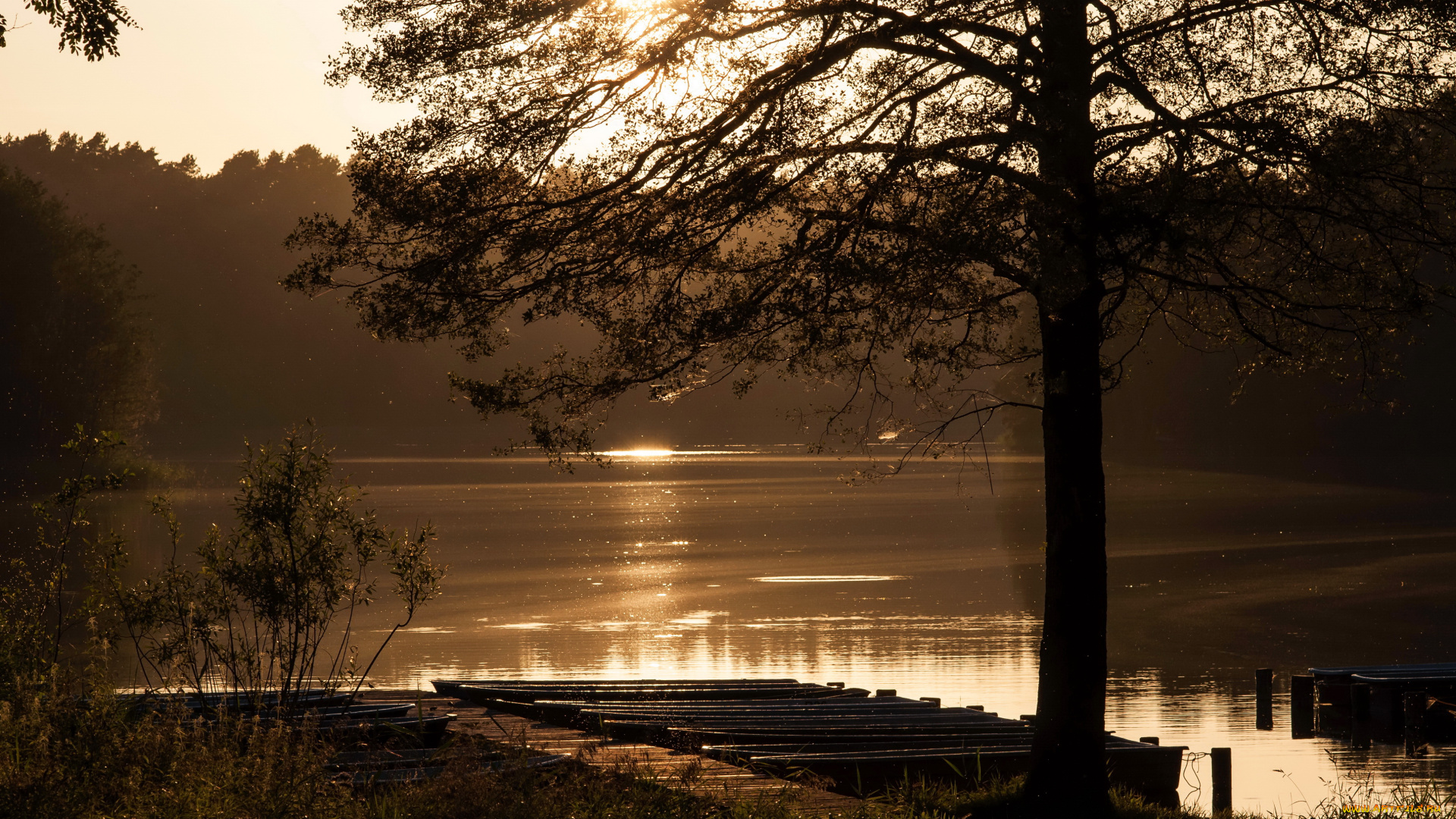 menz, , brandenburg, , германия, природа, реки, озера, река, побережье, сумерки