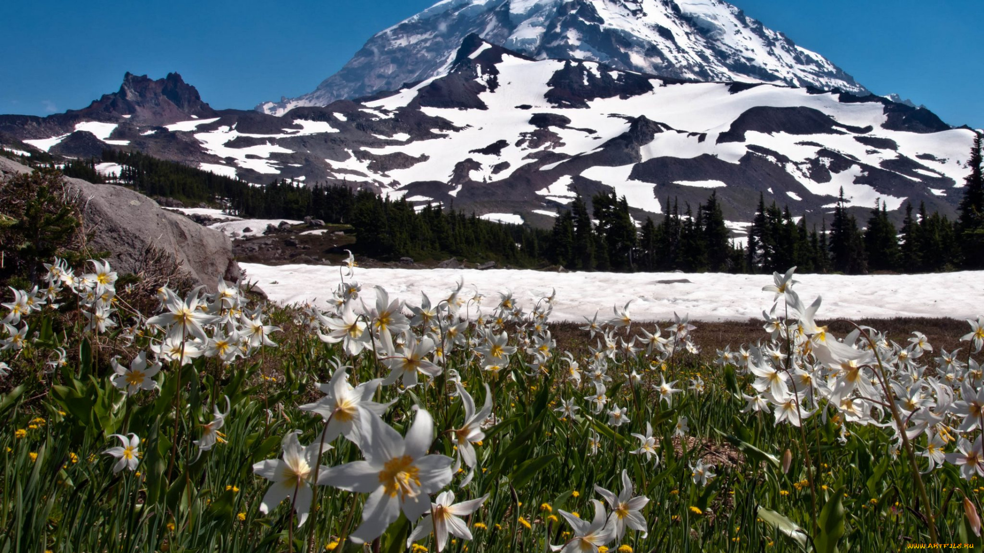 природа, горы, америка, национальный, парк, сша