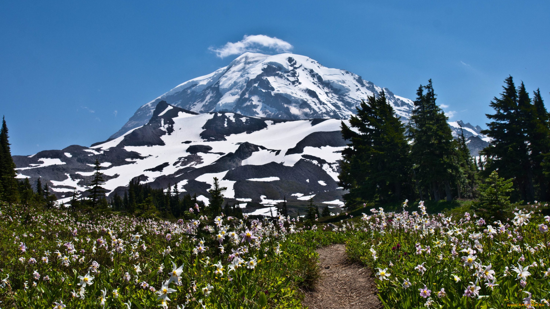 природа, горы, сша, америка, национальный, парк