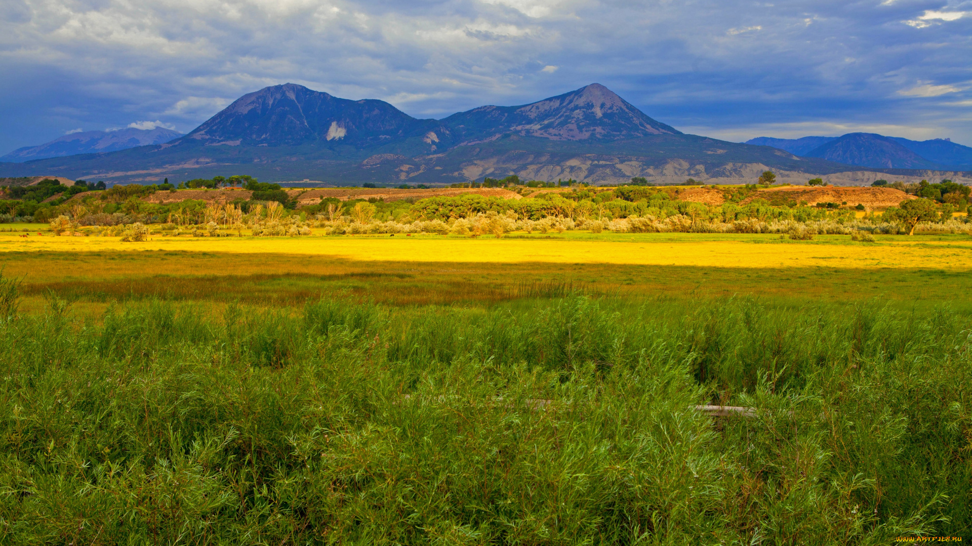 природа, луга, пейзаж