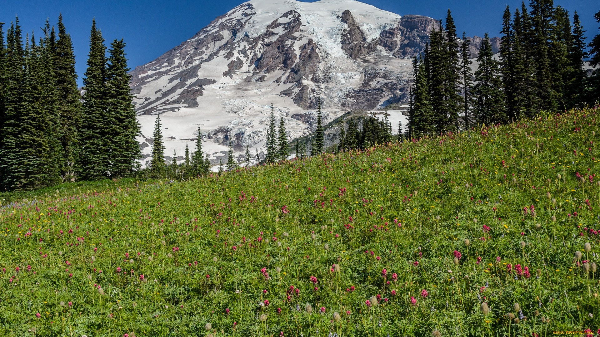 природа, луга, сша, америка, национальный, парк