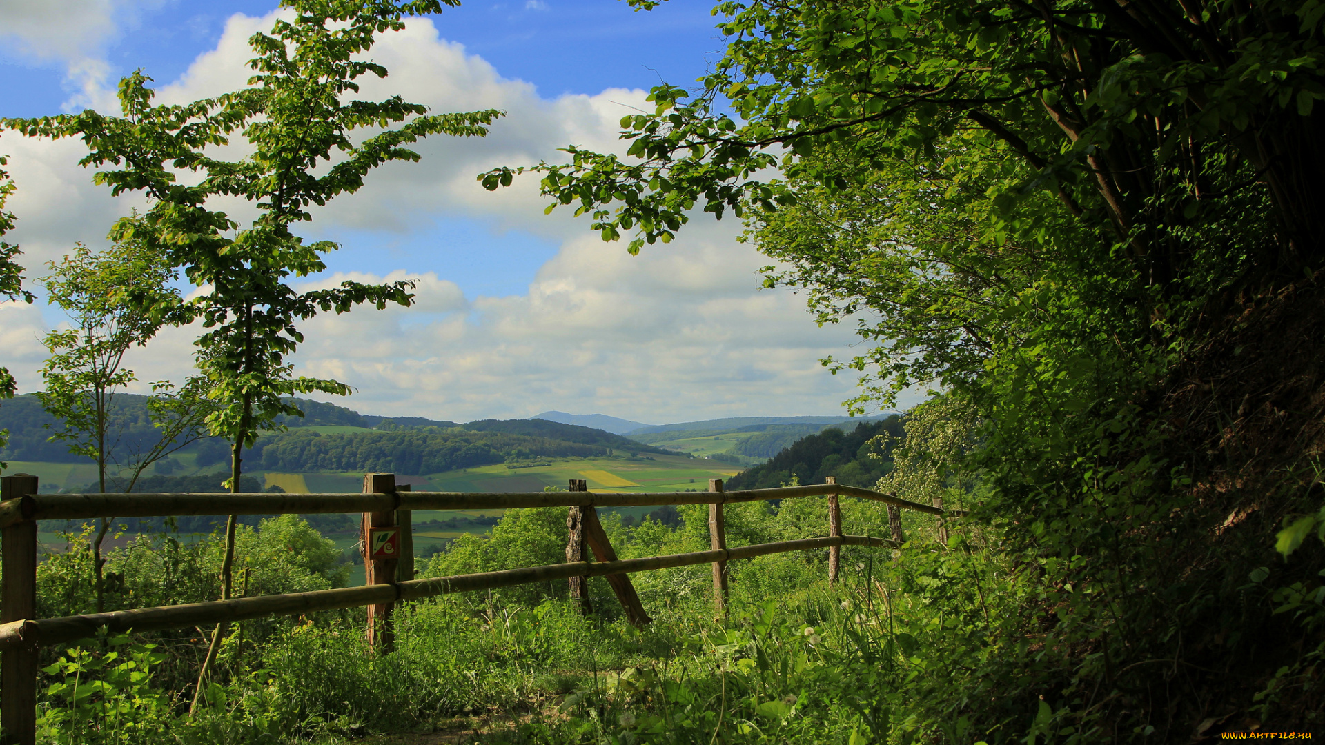 природа, пейзажи, холмы, лес, изгородь, тропинка