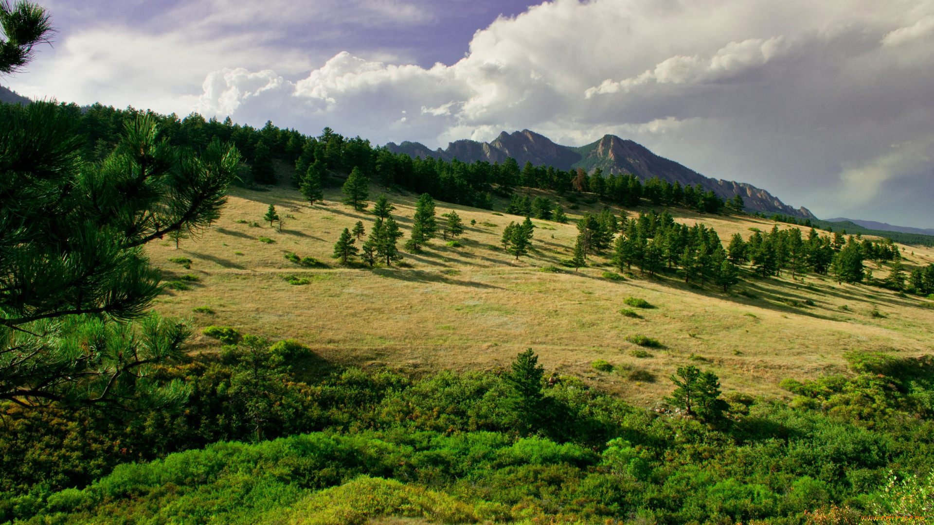 природа, пейзажи, сша, америка, национальный, парк