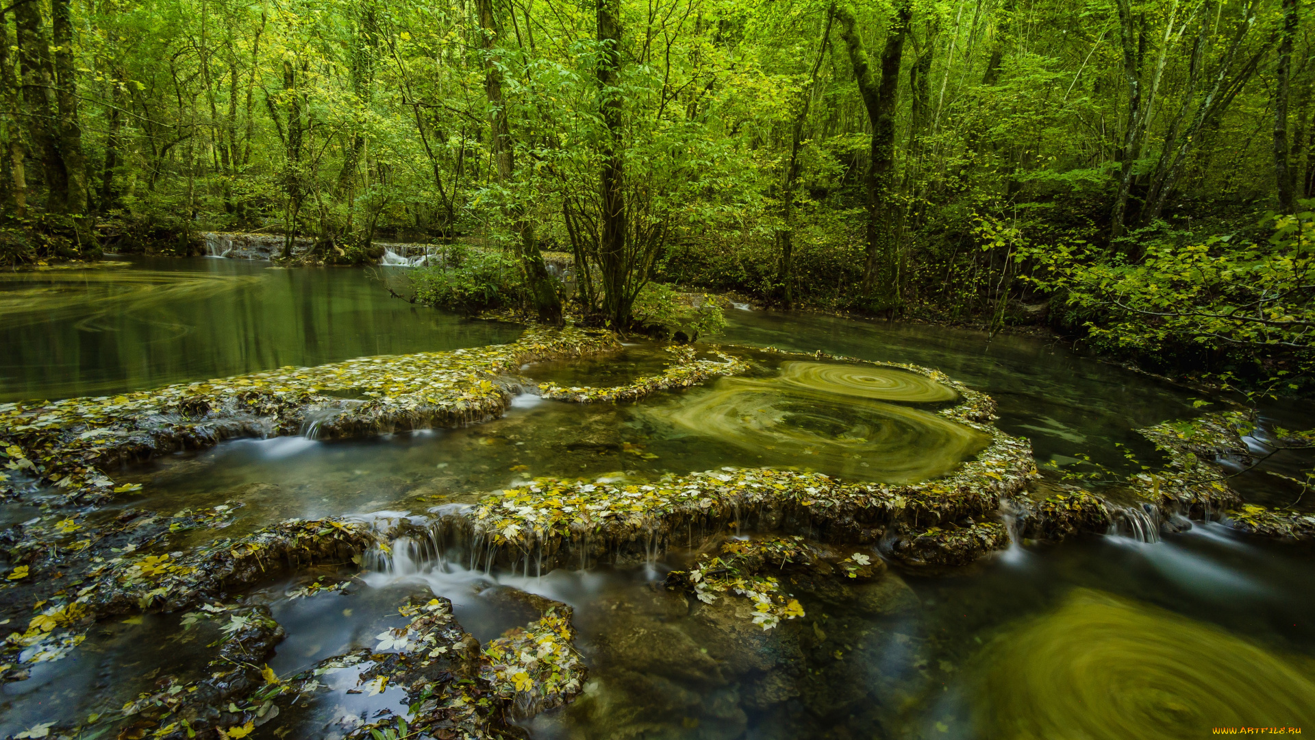 природа, реки, озера, лес, вода