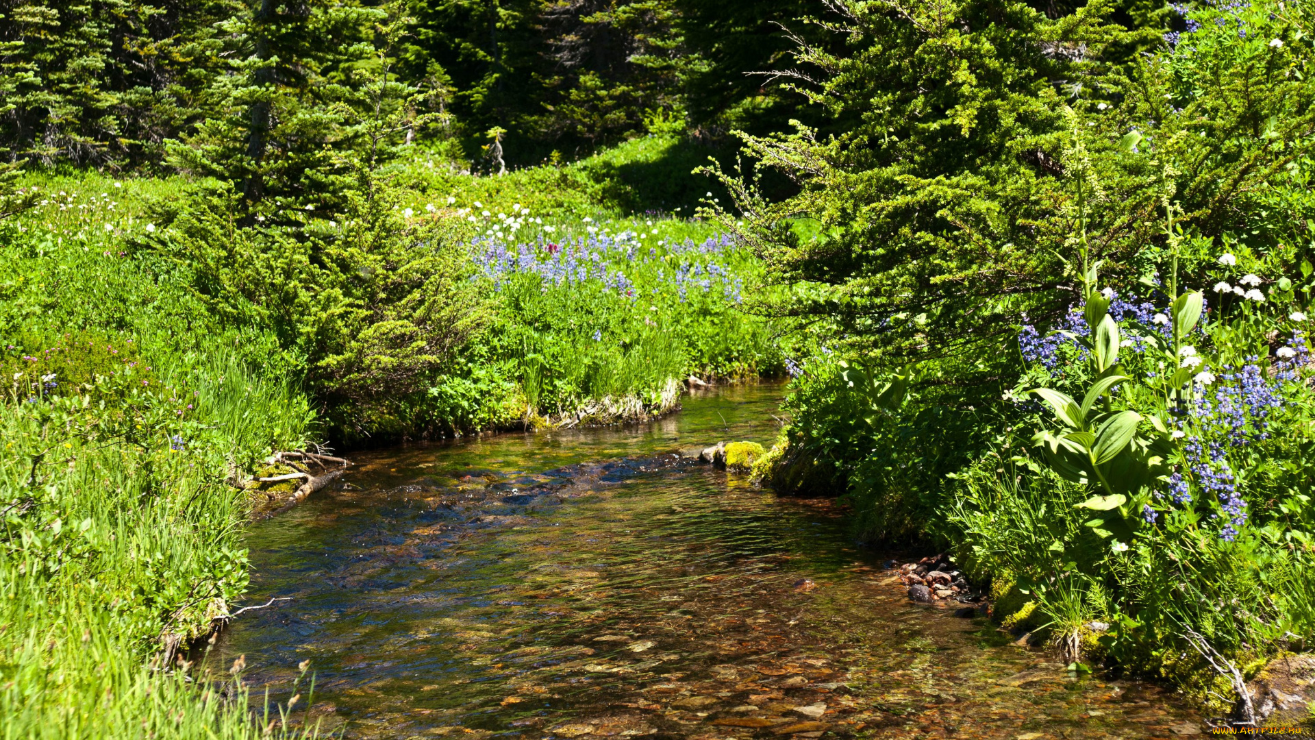 природа, реки, озера, национальный, парк, сша, америка