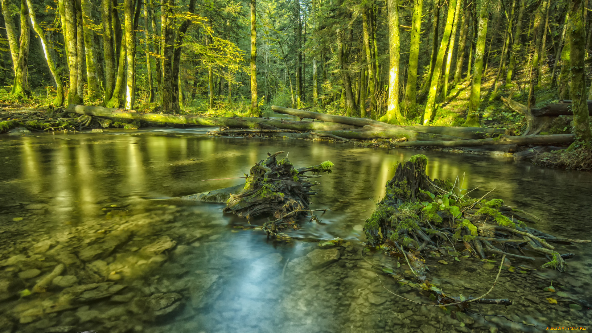 природа, реки, озера, вода, лес