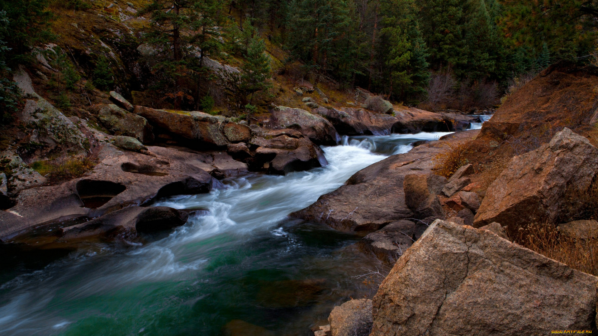 природа, реки, озера, вода, поток