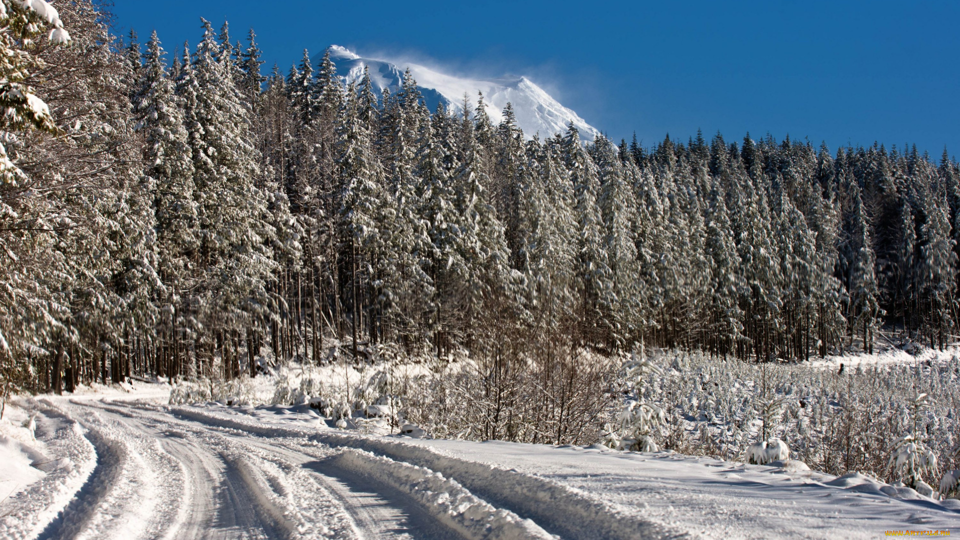 природа, зима, национальный, парк, америка, сша