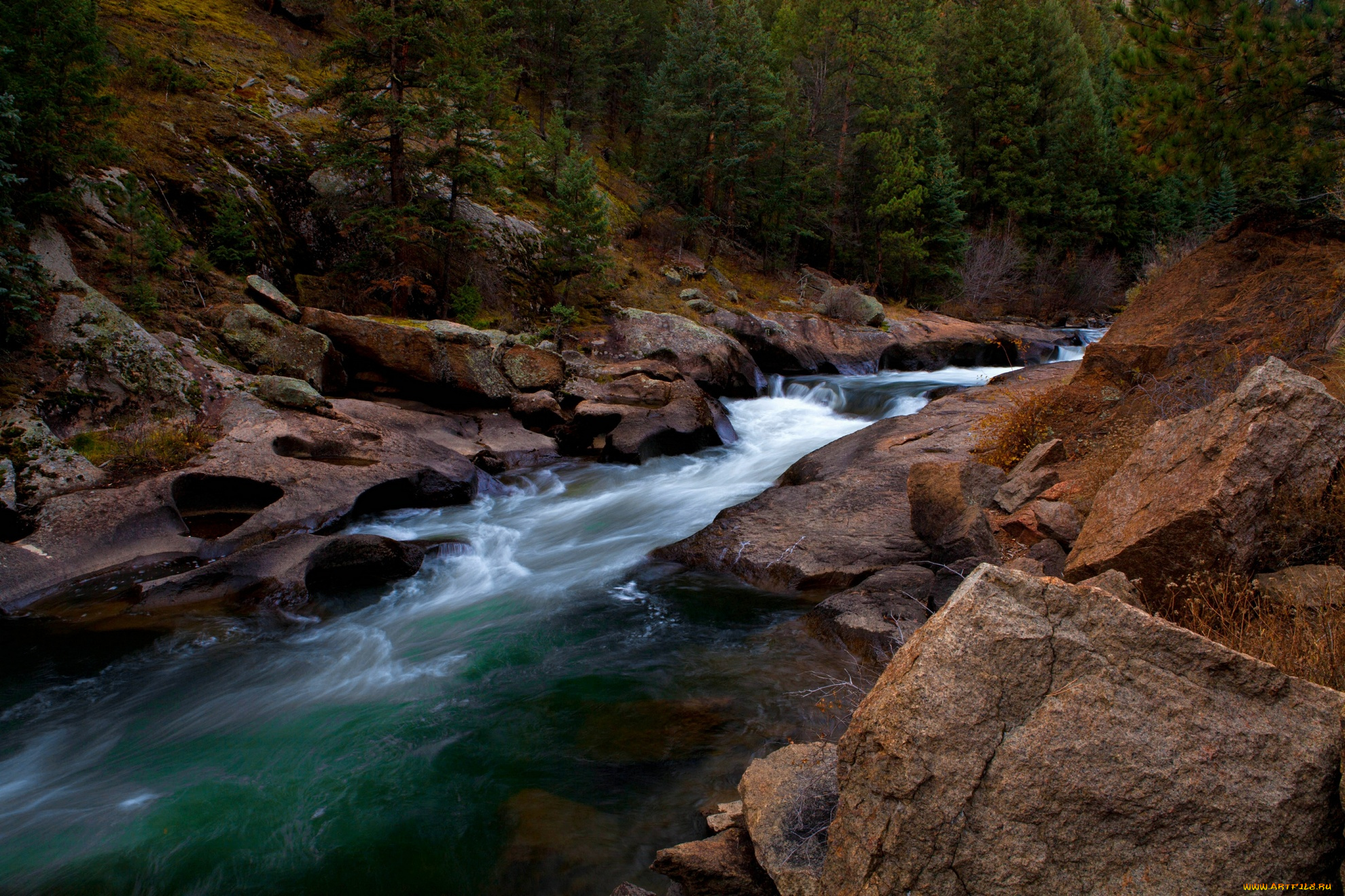 природа, реки, озера, вода, поток