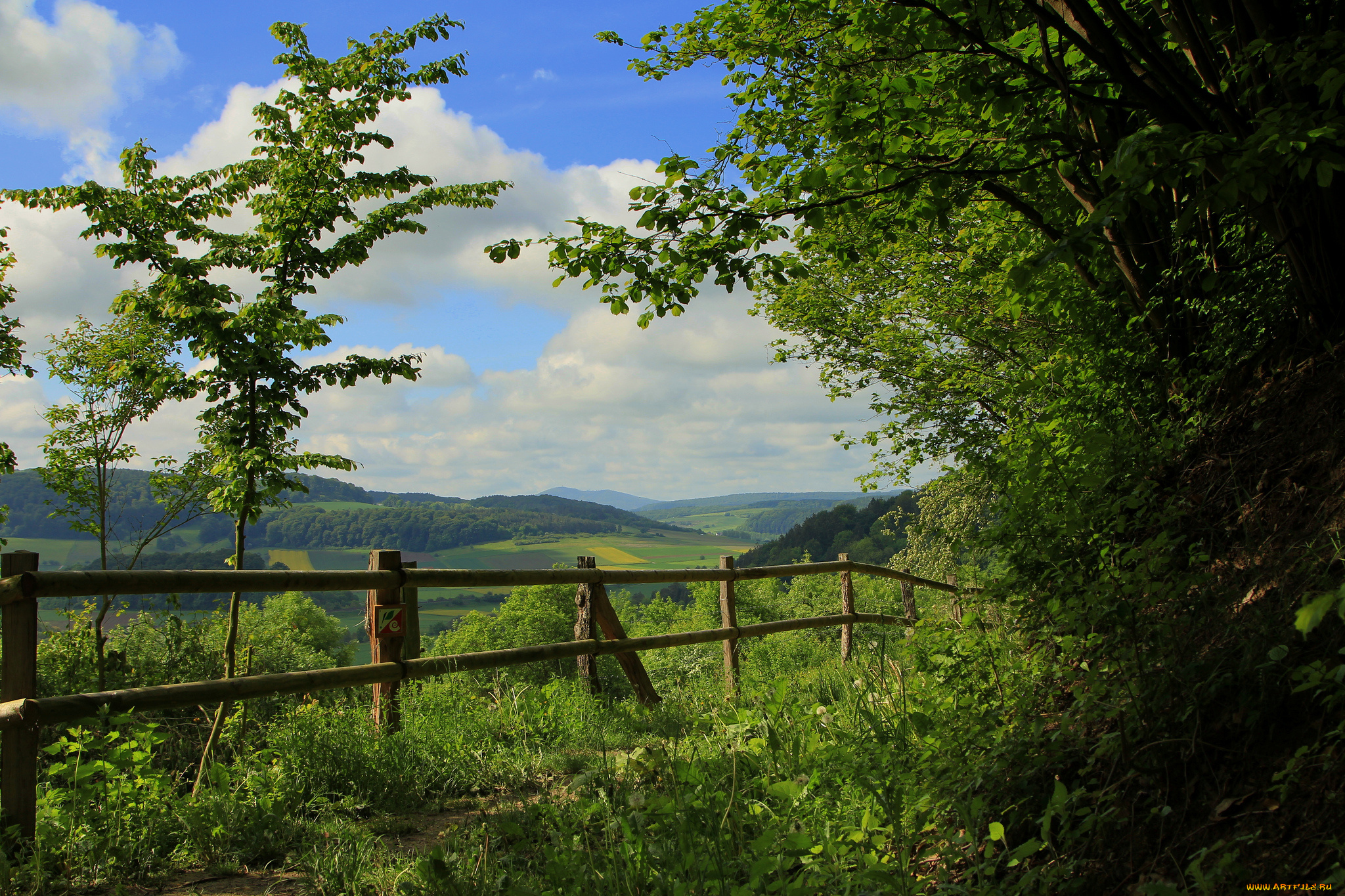 природа, пейзажи, холмы, лес, изгородь, тропинка