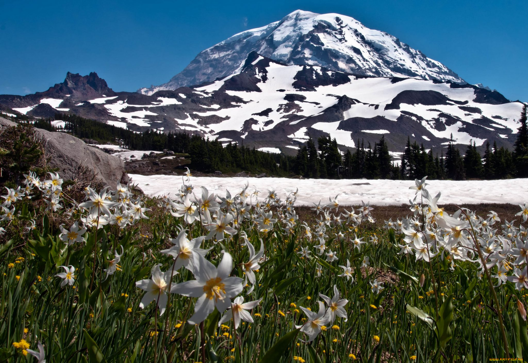 природа, горы, америка, национальный, парк, сша