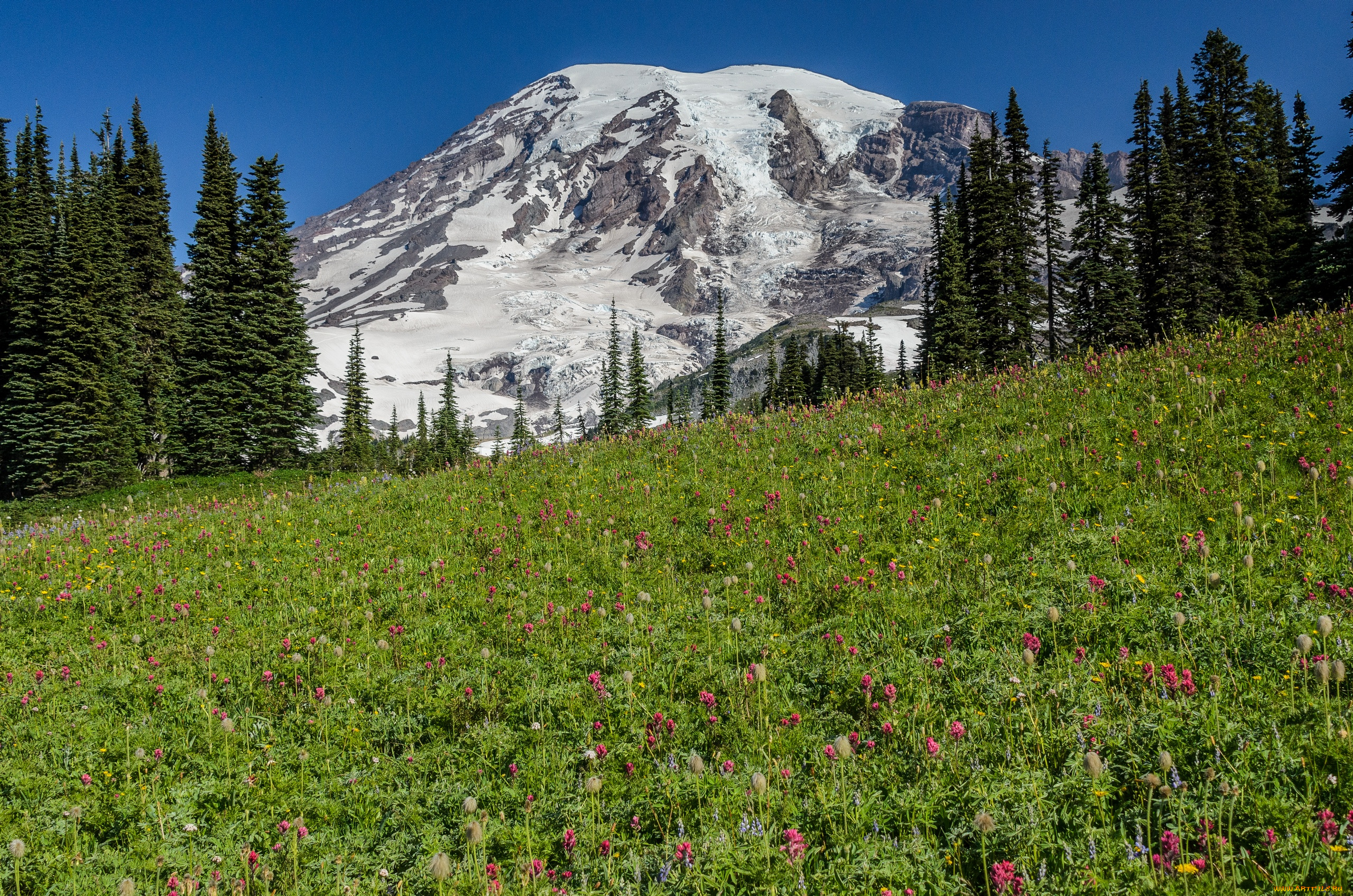 природа, луга, сша, америка, национальный, парк