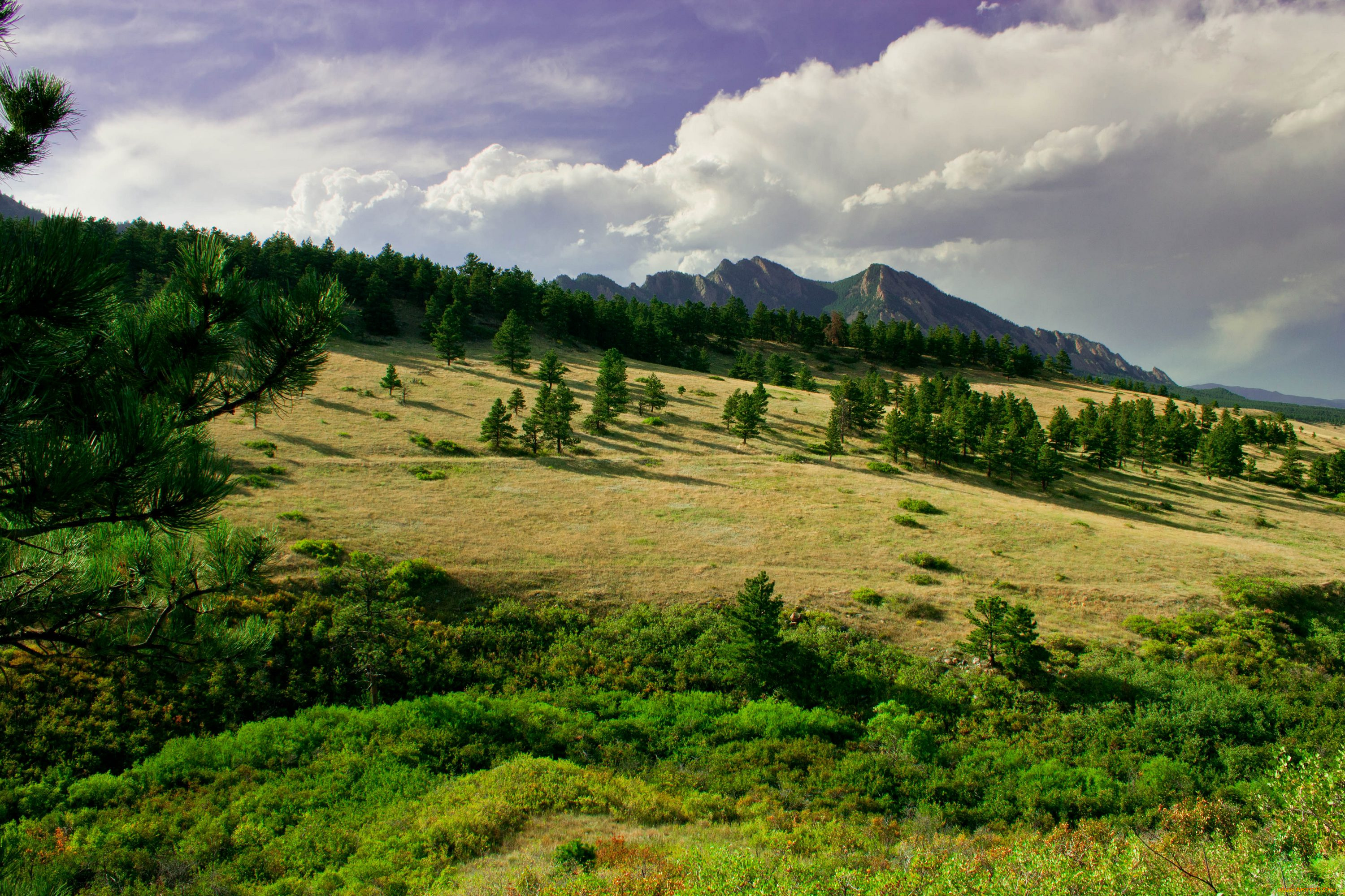 природа, пейзажи, сша, америка, национальный, парк