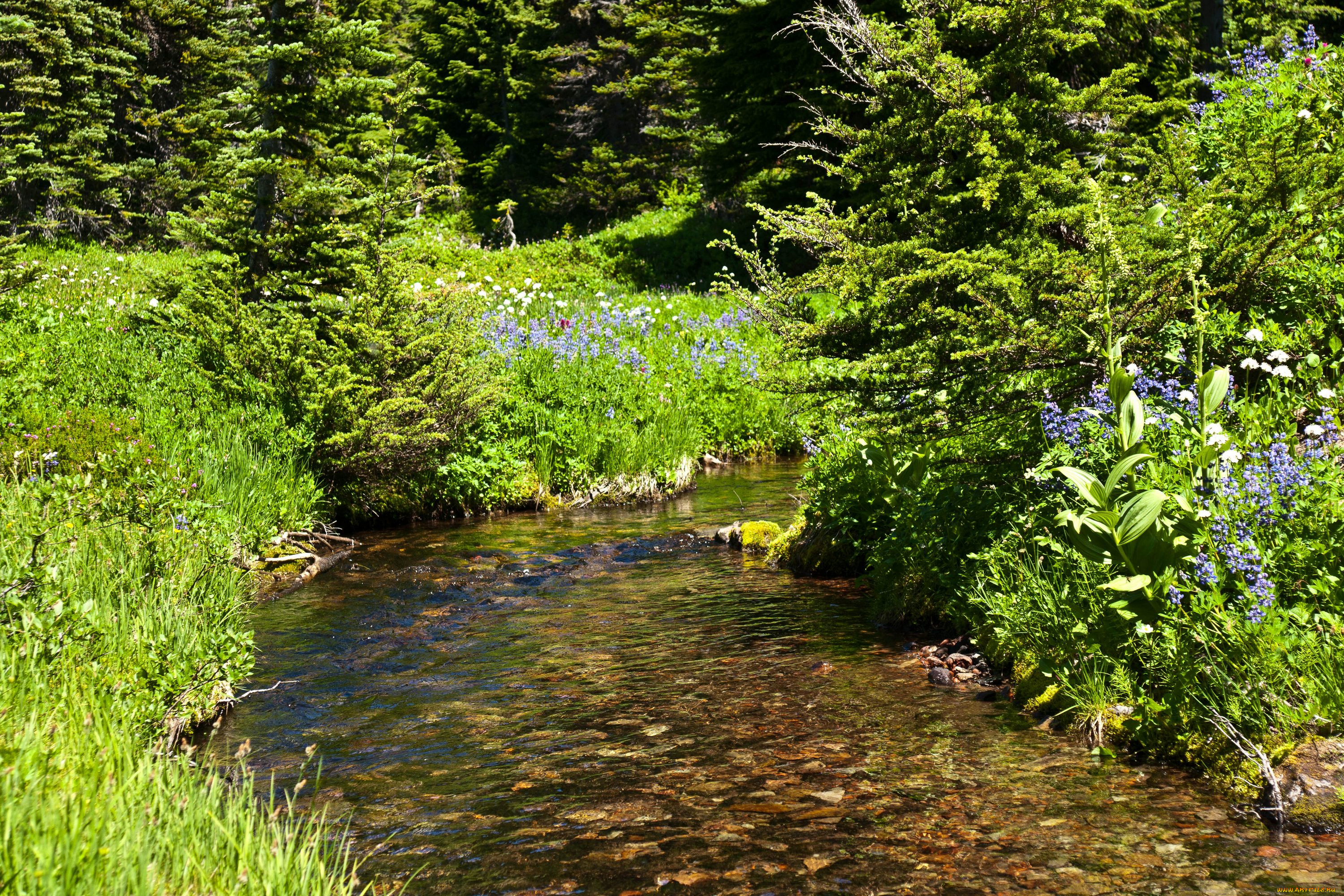 природа, реки, озера, национальный, парк, сша, америка