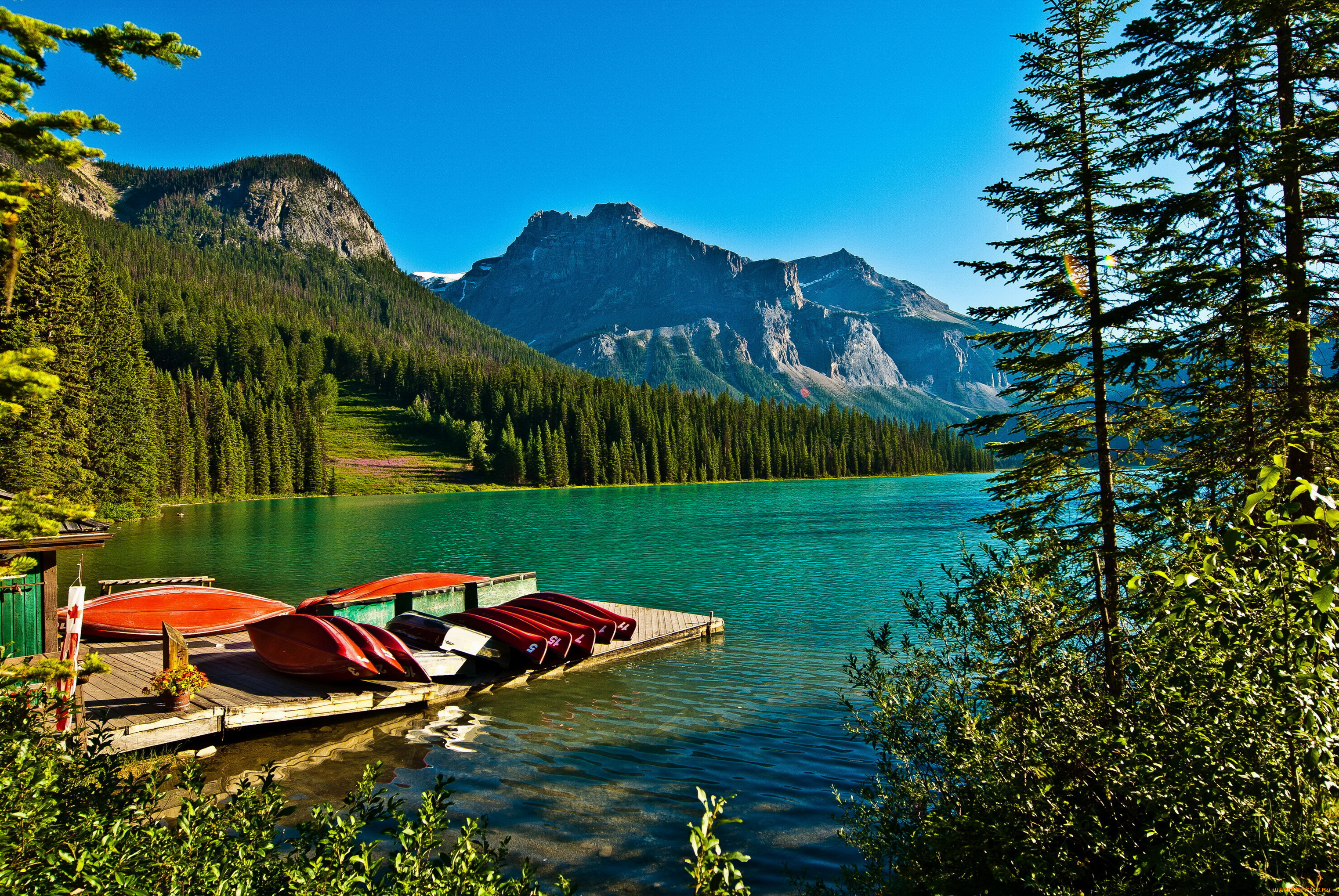 emerald, lake, yoho, national, park, , canada, природа, реки, озера, yoho, парк, canada, park, горы, emerald, lake, озеро