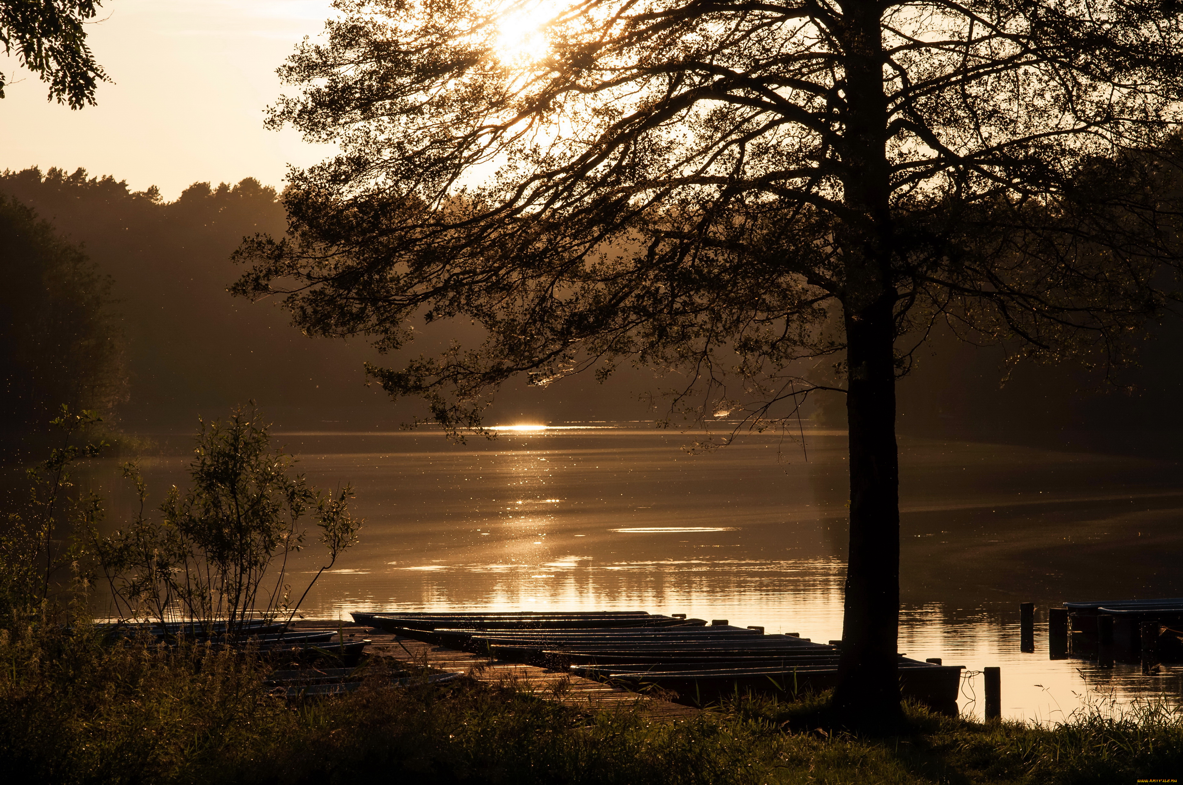 menz, , brandenburg, , германия, природа, реки, озера, река, побережье, сумерки