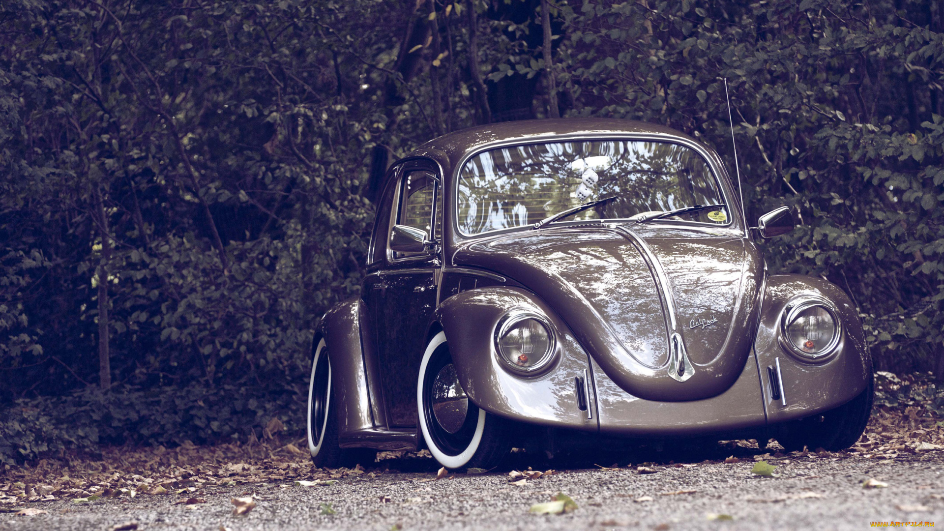 автомобили, volkswagen, vw