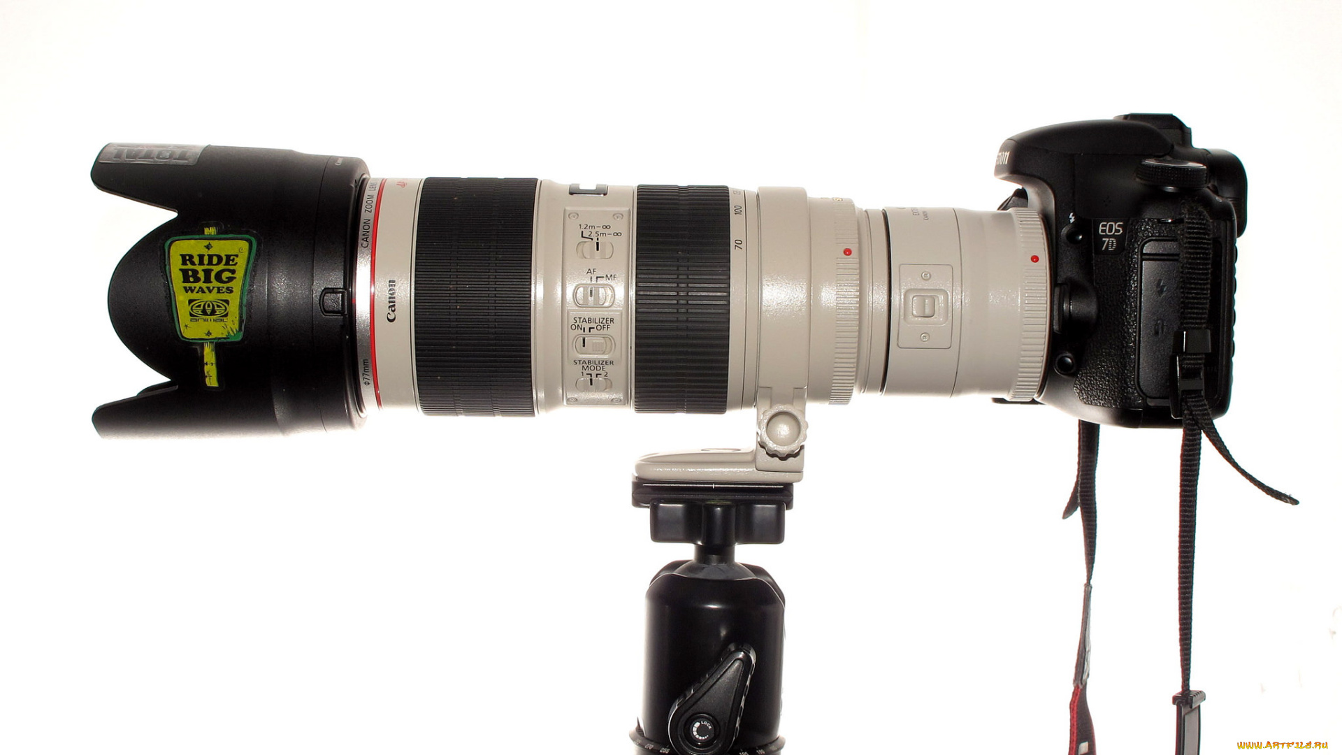 canon, бренды, фотокамера