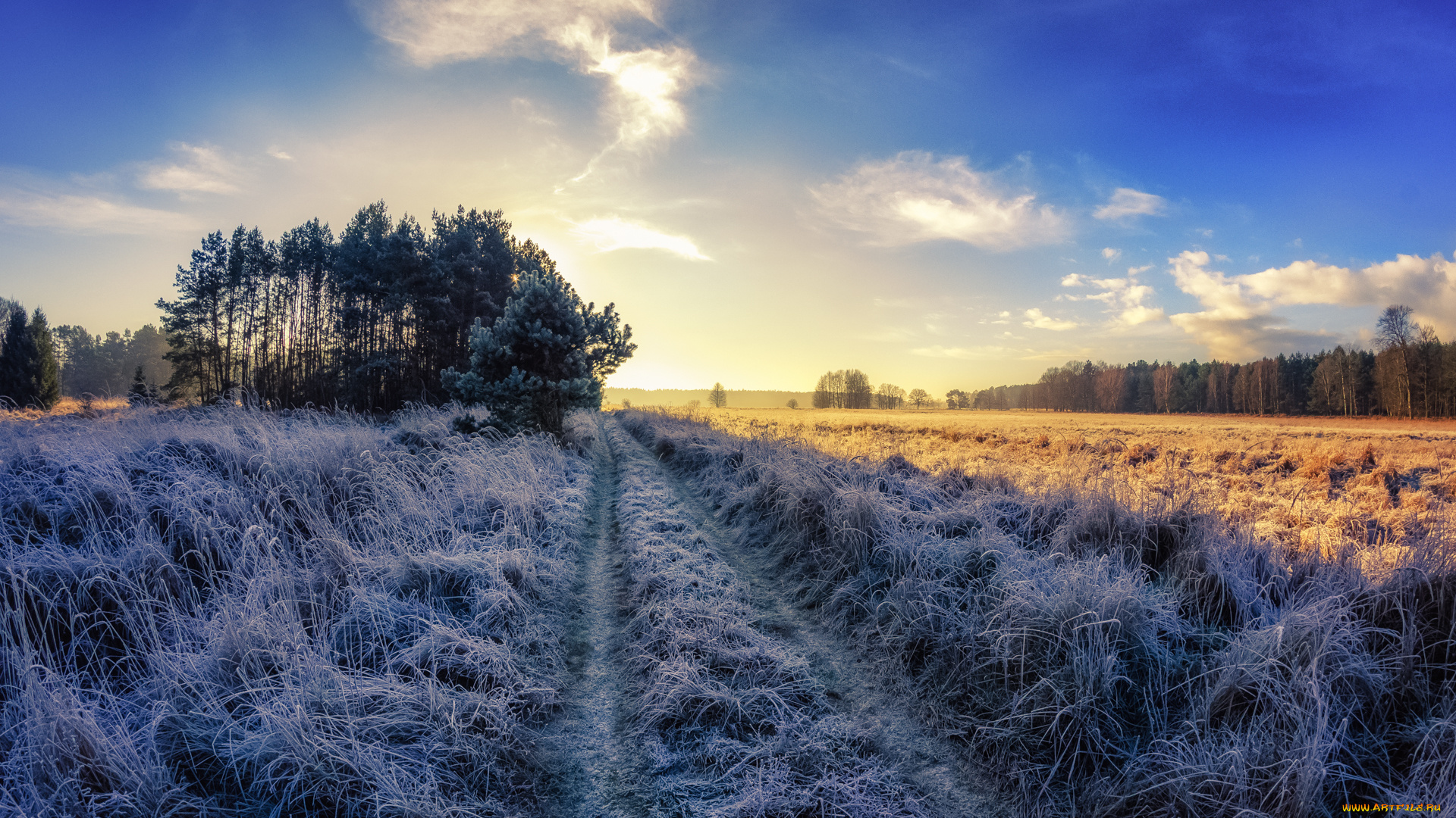 природа, дороги, осень, иней, поле, дорога, утро