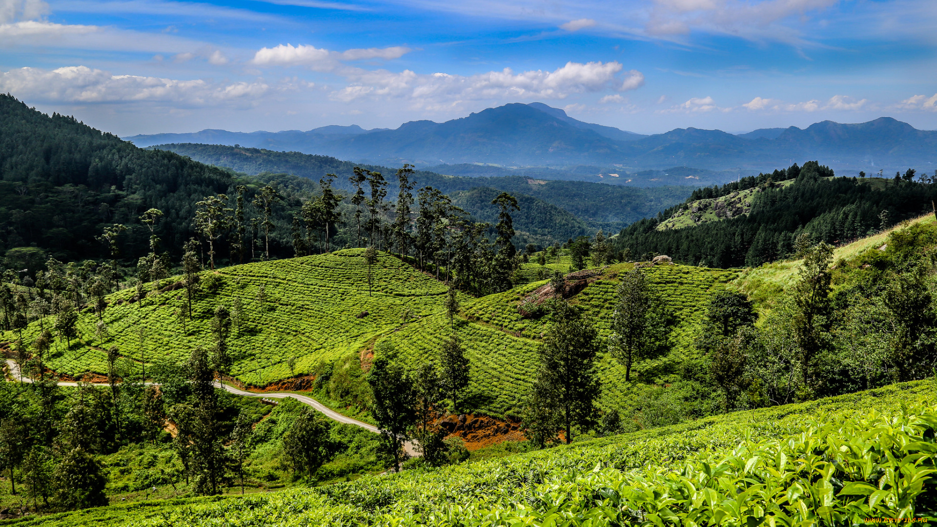 природа, дороги, трасса, лес, горы