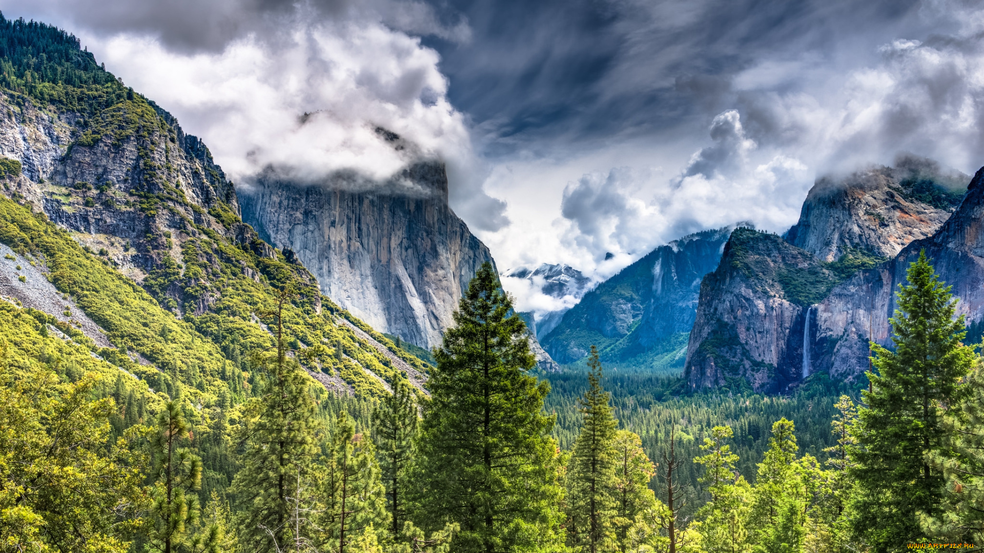 природа, горы, скалы, лес